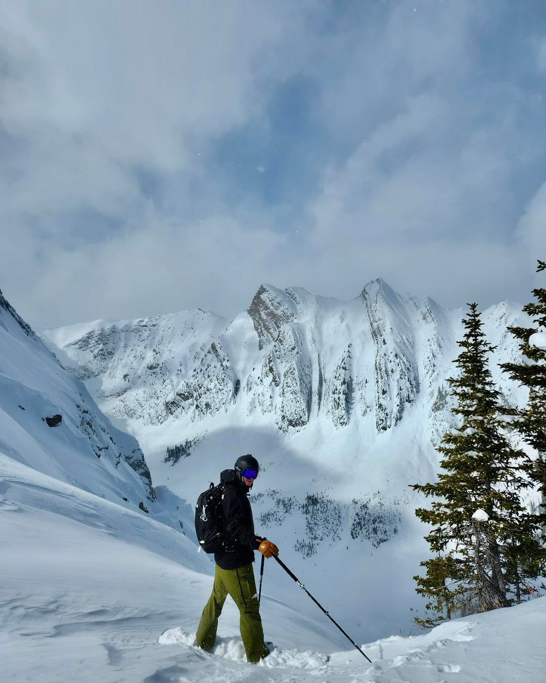 Home sweet home!!!
#goldenbc #this #hostile #thishorserules