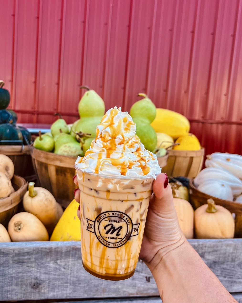 No need to hit up Starbucks before your visit to the farm! We have crafted lattes that are truly one of a kind! ✨ Sip on our signature favorites—the ‘2009’ and ‘Fancy Farmer’—or fall for our seasonal specials: Caramel Apple Butter, Pumpkin Spice, and Pumpkin Cheesecake lattes. 🎃🍎🍂☕