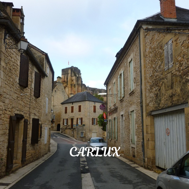 Our next port of call on the motorcycle trip was L'Escapade in Carlux. L'Escapade is a local bar with accommodation. It may be small but it's huge when it comes to a warm welcome and simple but good food. Run by David and Emilie, it caters for a local population which includes quite a number of English people. David speaks good English but Emilie doesn't though she tries like mad. And one day a week for an hour they have a bar rule by which the English speakers speak French and the French speak English. Entente cordiale!
Carlux made a good base for a bit of exploring before we moved on. Its castle is interesting and, further afield, was Rocamadour.
#motorcycletouring #carlux #escapadebar #castle #france #readingcat #ententecordiale