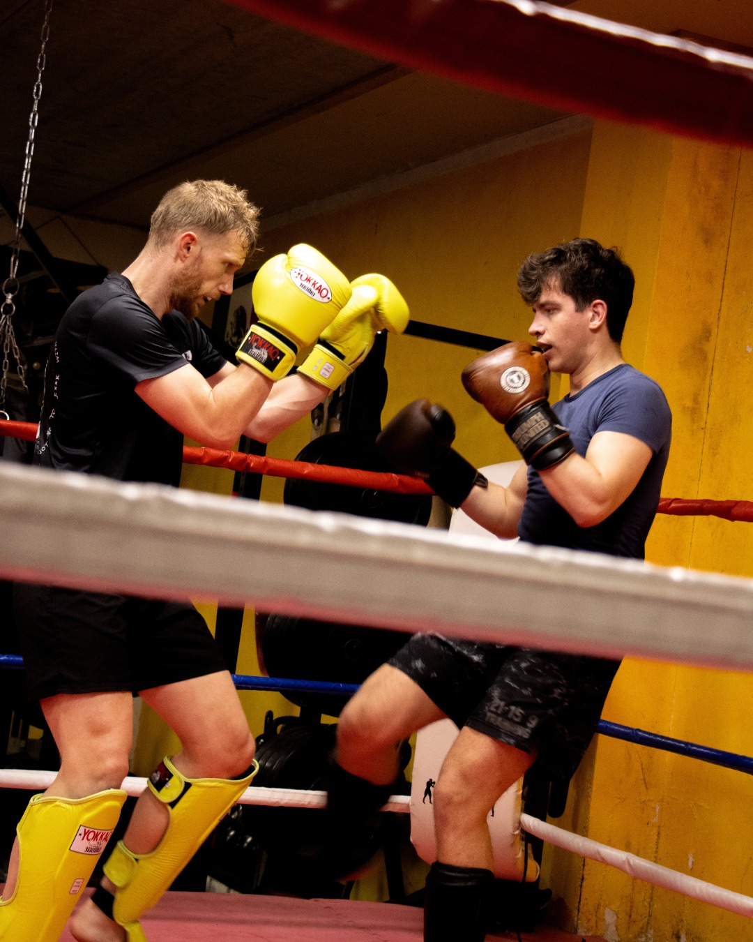 Bij Jimmyโs Gym draait het om meer dan trainen, het gaat om groeien, leren en jezelf elke dag uitdagen. Of je nu net begint of al ervaring hebt, hier ben je welkom. Let's get to work! ๐ช๐ฅ
_____________________________
At Jimmyโs Gym, itโs about more than just training - itโs about growing, learning, and challenging yourself every single day. Whether youโre just starting out or already experienced, youโre welcome here. Letโs get to work! ๐ช๐ฅ