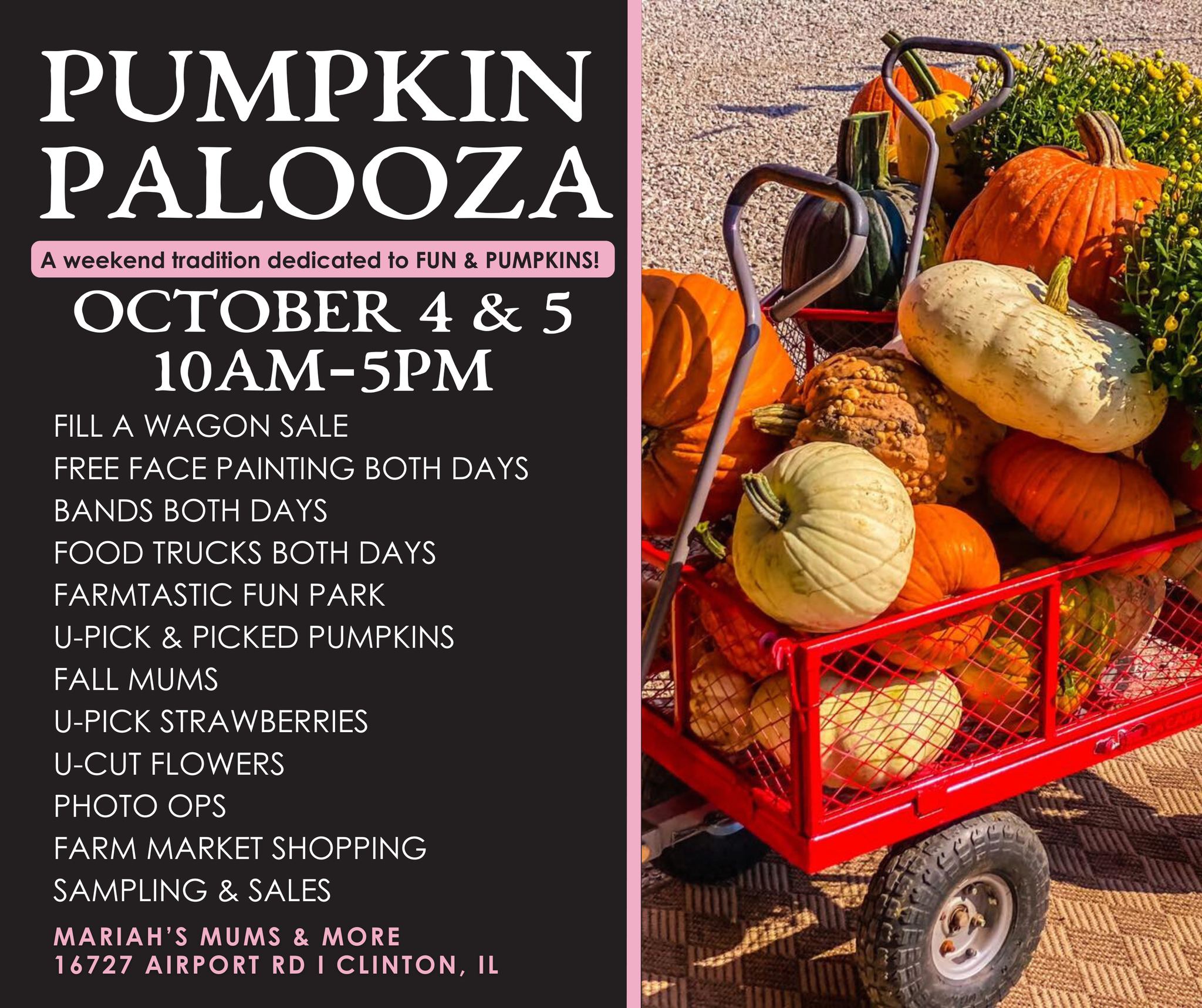 ‼️‼️‼️ FILL A WAGON SALE ‼️‼️‼️
We’ve had a LOT of you asking if we're doing our 🎃🏵️ FILL A WAGON SALE 🏵️🎃 again this year. The answer is……..........HECK YEAH! 🤘🏻😊 And this year, we're taking the annual tradition up a notch with BANDS, FREE FACE PAINTING for the kiddos, & MORE!
Details & wagon sale rules will be shared this week. And the ⭐️ BEST ⭐️ way to know first is by subscribing to our e-news ➡️ https://bit.ly/3JI2PRf .