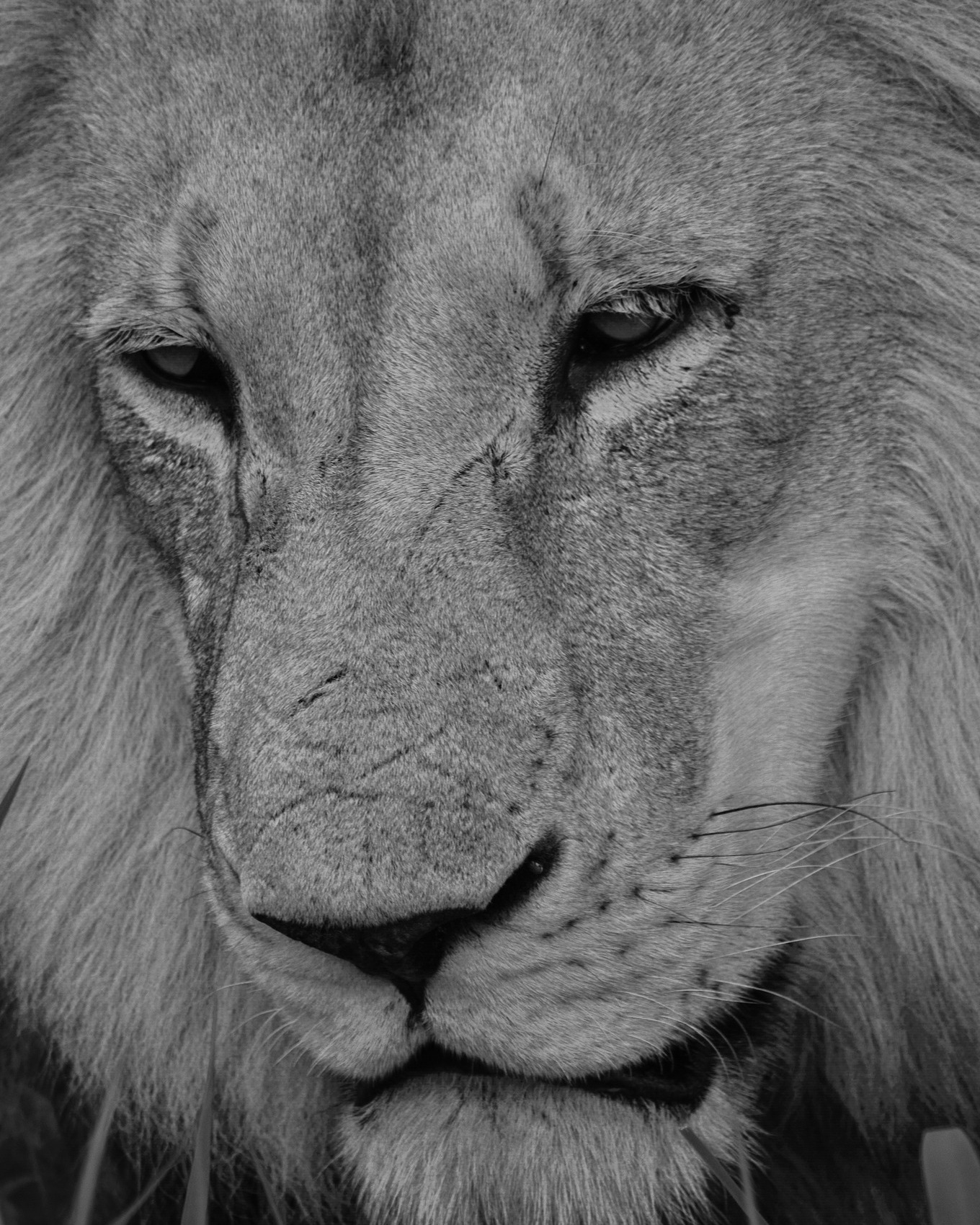 Around Here We Share Our Scars
“Then he said to Thomas, ‘Put your finger here; see my hands. Reach out your hand and put it into my side. Stop doubting and believe.’” — John 20:27
Jesus did not hide His scars after the resurrection. Instead, He invited Thomas to see and touch them. Why? Because the scars were proof of victory.
In our world, scars are often hidden. We associate them with shame, weakness, or failure. But in Christ, scars become testimonies of redemption. In fact, when I first began to share the story of my scars, we had family members that became unhinged over it. These family members felt that such things should be kept private. But how could we do such a thing? God has performed a mighty work in my marriage through the scars. They tell the story of what has been overcome. Jesus’ wounds declared to Thomas and to us that death had been defeated, sin had been paid for, and resurrection power is real.
Our scars tell others that what has been broken can, in fact be restored. Those marks proclaim the phenomenal power of the Lord to take what is bleeding and bind it up. Scars are the evidence of healing.
Theology reminds us that the risen Lord is also the wounded Lord. His glorified body still carries the marks of His love. And our scars, too, can become part of our witness: signs that we have suffered, yes, but also that God has sustained, healed, and redeemed.
Wishing you all God's love and smiles, beautiful ones.