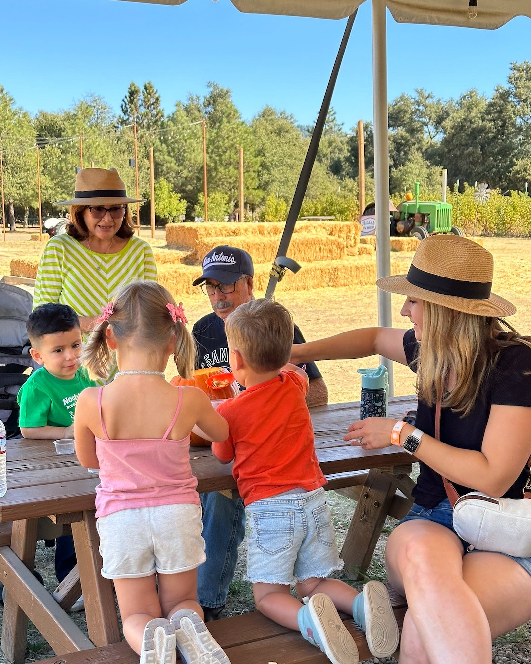 🌟 🌟 🌟 🌟 🌟 from Mrs. Tiff 🤩
❝I took my class here and it was fabulous! They have a petting zoo, and did a great job of explaining how pumpkins grow and even let them explore the inside of a pumpkin. When we were all done, they took us on a hay ride! They have an amazing play area where they have quite a bit of different types of toys and activities for the littles. The staff was nice and very kind. I can not recommend this lovely farm enough! The Julian Farm was awesome! Thanks so much from TK2Rocks!❞
We absolutely love hearing how much fun our field trips are! Nothing makes us happier than knowing teachers and students had a wonderful experience at the farm.
We're so grateful to TK2Rocks for this amazing feedback!
Ready to create a fabulous field trip for your students? Fall spots are limited, so don't delay!
👉 Book Your Field Trip Here: www.JulianFarmAndOrchard.com/school-field-trips
#sandiegoagricutlure #sandiegofarm #sandiegoagritourism #sandiegoupickfarm #SanDiegoEvents #julianfarmandorchad #sandiegocounty #VisitJulian #JulianFallActivities #homeschoolsandiego #murrietahomeschool #sandiegohomeschoolfieldtrip #sandiegohomeschool #temeculahomeschool #sandiegofieldtrip #temeculafieldtrip #murrietafieldtrip #socalfallfieldtrip #fallinsandiego #fallinsocal #sandiegoschool #sandiegoschools #sandiegoteachers