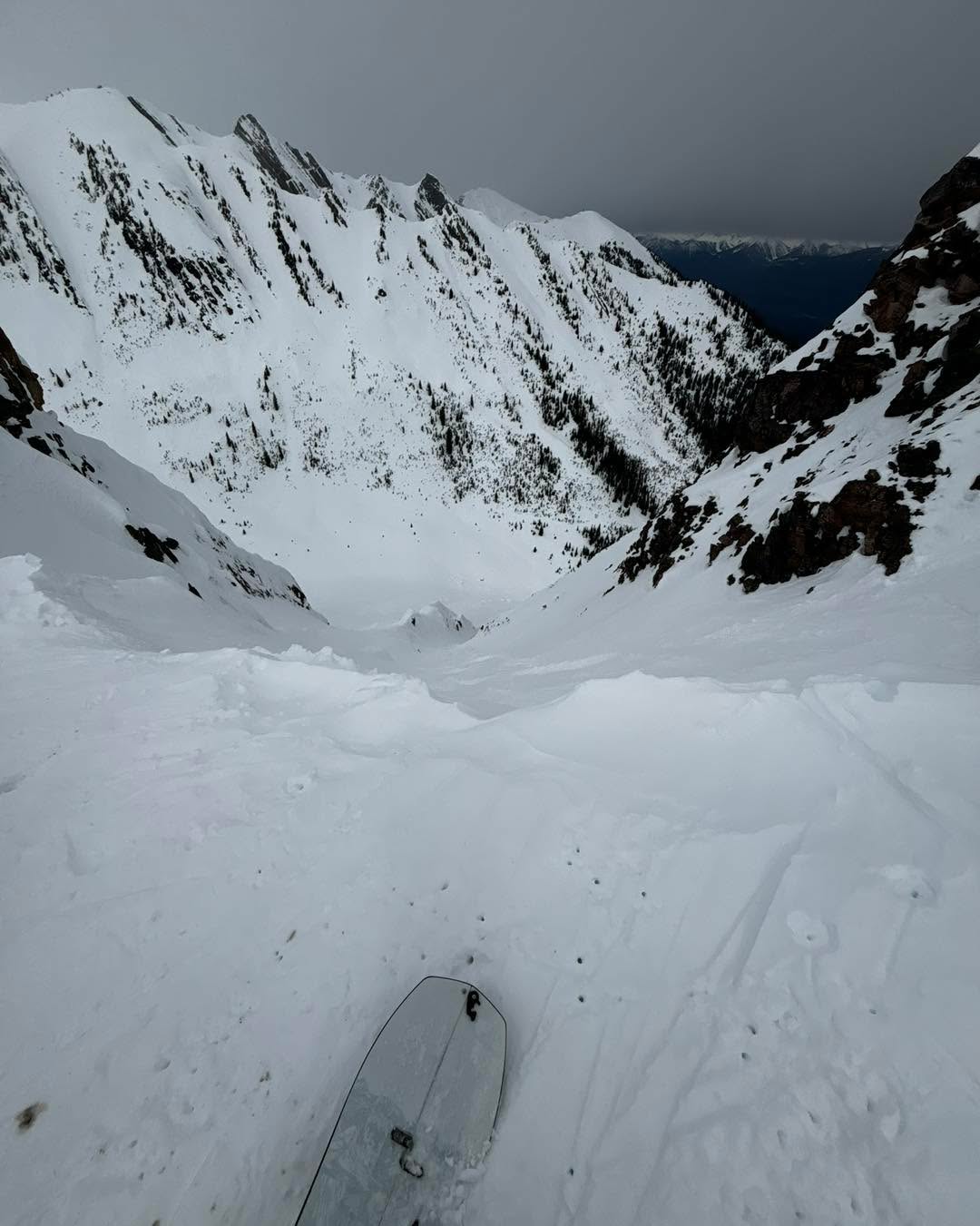 Back yard bounties!!!!
Come ride some of these Purcell gems with us.
#skiguide #goldenbc #splitboardingistheanswer #mountainlife #mountainsarecalling #backcountrylife #skimountaineering