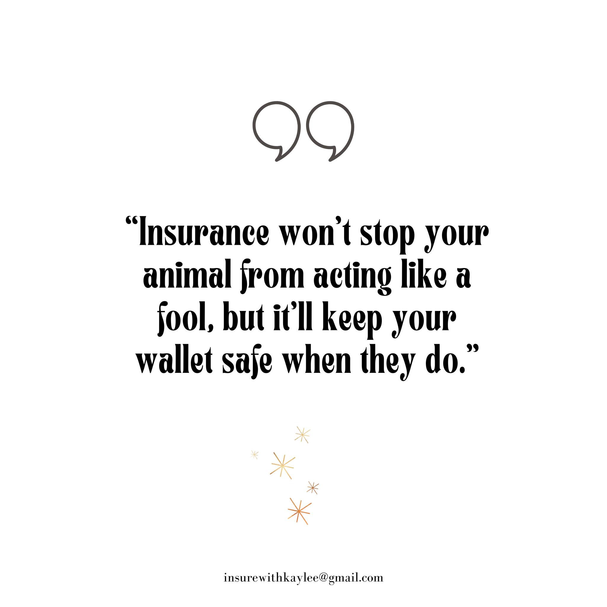 Because sometimes the “foolish” moments are the most expensive ones.
Insurewithkaylee@gmail.com
https://www.kayleeimkeequineagent.com/