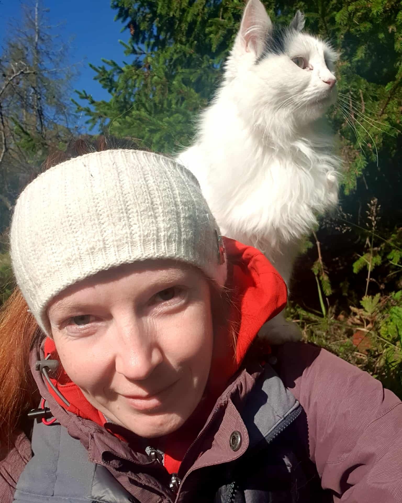 You never know what little surprises await while exploring Hveragerði. A curious cat decided our colleague’s backpack was the perfect perch and happily hitched a ride for part of the adventure.
#cat #hiking #VisitHveragerði #VisitIceland #travel #Iceland #DiscoverHveragerði #ExploreIceland #IcelandicMagic