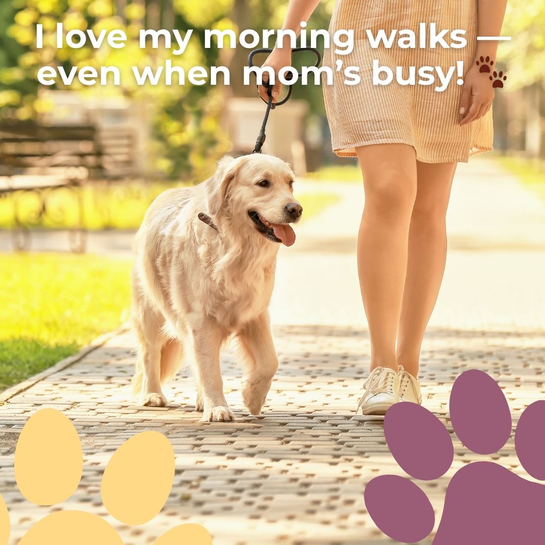 Busy mornings? Let us help 🐾! Our daily dog walking services keep tails wagging while you’re at work.
#DogWalkingMA #WinchesterDogs #DogWalkerMA #DailyDogWalks #WinchesterMA #BostonDogs #NorthOfBoston #MassachusettsDogs #HealthyHappyDogs #DogLoversMA #SmallDogCare #NorthShorePets #PetCareWinchester #HappyPups #WinchesterCommunity #LocalPetCare #PetServicesMA #DogMomLife #DogDadLife #DogsOfInstagram