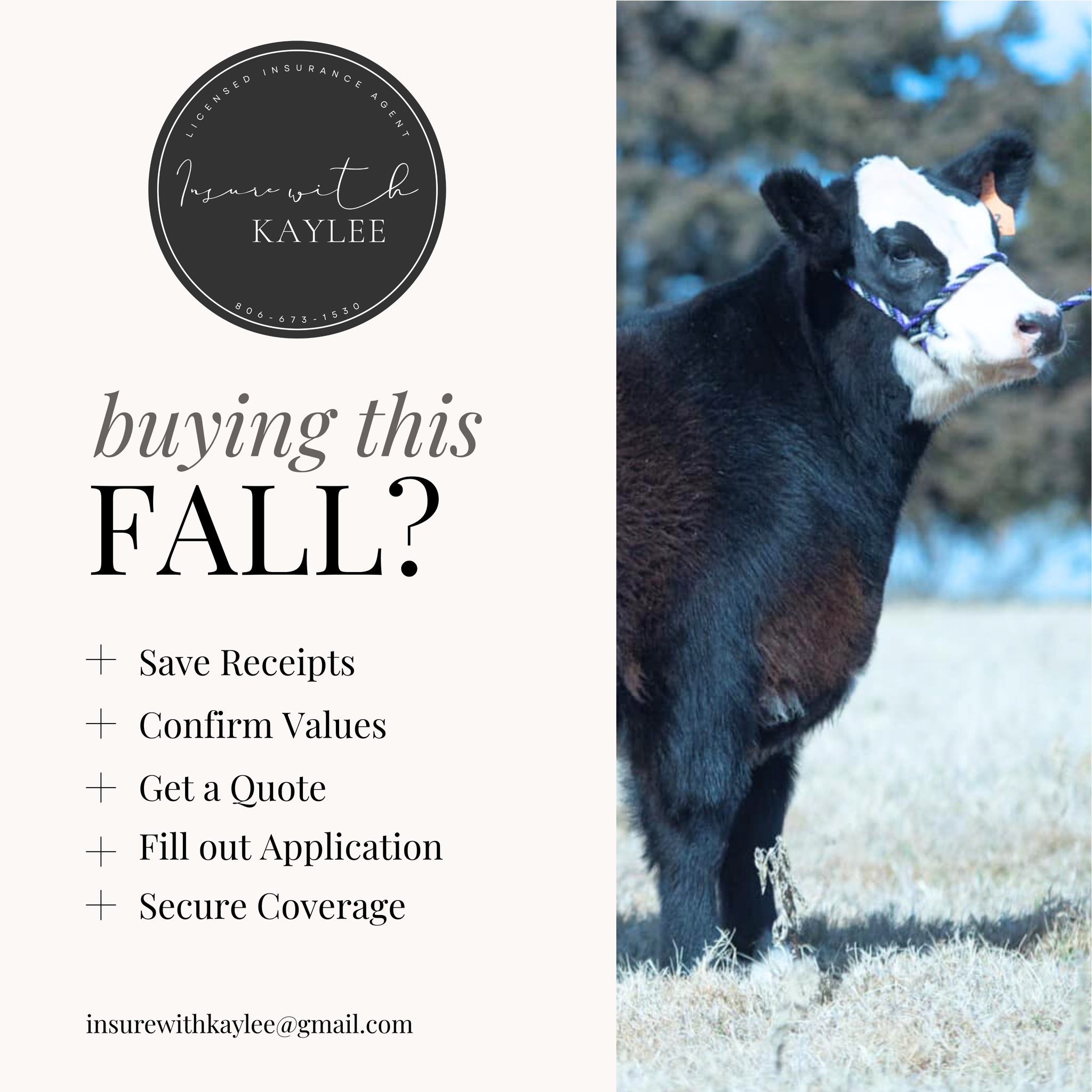 🍂 Buying this fall? Don’t forget: save receipts, confirm values, get a quote, fill out application, and secure coverage.
Be sale-season ready—protect your investment from day one.
Insurewithkaylee@gmail.com
https://www.kayleeimkeequineagent.com/