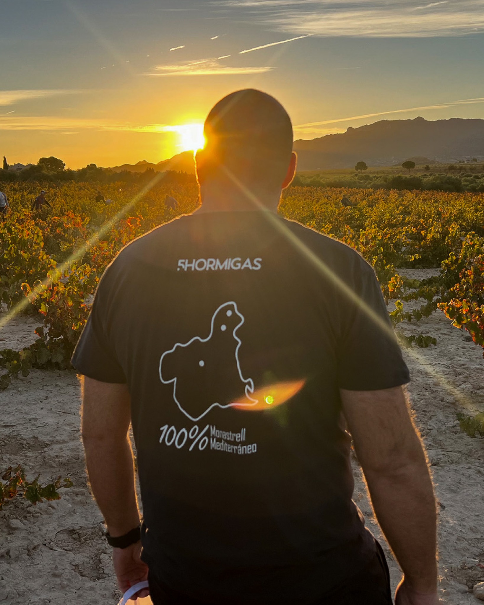En la Región de Murcia, la bodega @5hormigas cultiva algo más que viñedos, cultiva historias que nacen de la tierra. Su filosofía es sencilla y profunda: el vino se entiende mejor cuando se entiende el suelo que lo sostiene.
Trabajan en tres zonas de vinificación, donde la diversidad de suelos y paisajes marca el carácter de cada parcela. Desde ecosistemas agro-forestales llenos de vida, hasta llanuras esteparias donde la vid lucha por cada gota de agua, cada rincón imprime su personalidad en la uva.
En Tierra, sentimos una conexión especial con bodegas que dan voz a su terruño. Y 5 Hormigas lo hace dejando que el paisaje hable a través de cada vino.