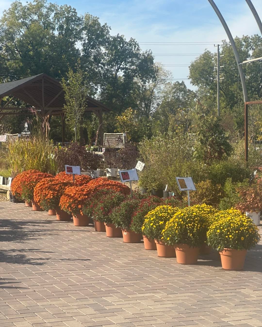 It’s October!
The best time to plant anything and everything!
Our current sales are
35% off Perennials
30% off Shrubs
25% off Trees!
Sale ends October 31st!
#gardencenters #gardencenterlife #gardencenter #stcharlesillinois #genevaillinois #bataviaillinois #sugargroveil #oswegoil #stcharlesil #auroraillinois #genevail #oswegoillinois #bataviail #sugargroveillinois #aurorail