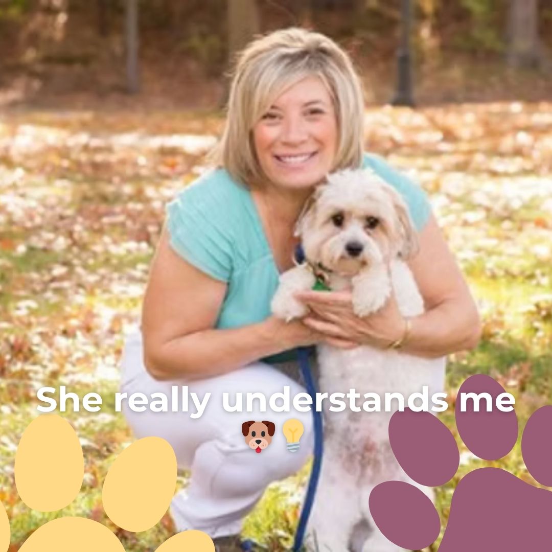 Meet Deborah 👋 — Winchester’s trusted trainer. Book your FREE consultation this October and set your pup up for success.
#DogTrainerMA #WinchesterMA #DogTrainingMA #PuppyTrainingMA #DeborahTheTrainer #DogObedience #DogBehavior #WinchesterDogs #SmallDogCare #NorthOfBoston #BostonDogs #MassachusettsDogs #PetCareWinchester #PetParentsMA #DogLoversMA #NorthShorePets #WinchesterCommunity #HealthyHappyDogs #HappyPuppy #LocalPetCare #PetServicesMA