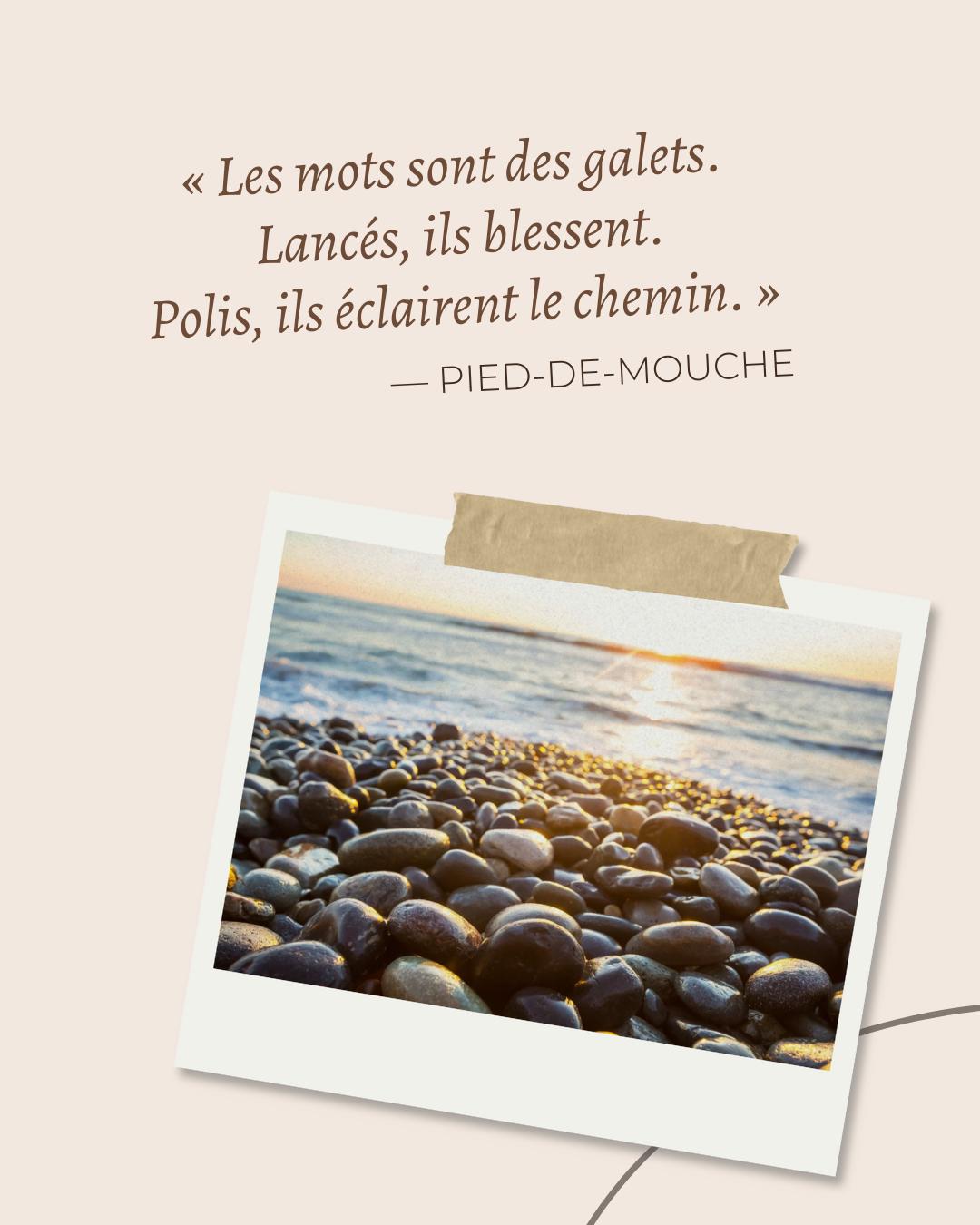 Je vous partage aujourd'hui ce très court texte que m'a inspiré mon week-end passé au Havre...
Chaque mot compte.
Certains écorchent, d’autres caressent. Certains égarent, d’autres guident.
Mais, quoi qu'il advienne, polis par le temps, ils cessent de heurter et se mettent à éclairer.
✨ J'espère que votre week-end s'est bien déroulé.
Nouvelle semaine, nouveau souffle !
Et si on laissait les mots nous révéler ?
#citationdujour #motdetete #inspirationlitteraire #correcteur #ecriture #livre #francophonie #auteurindépendant #pieddemouche