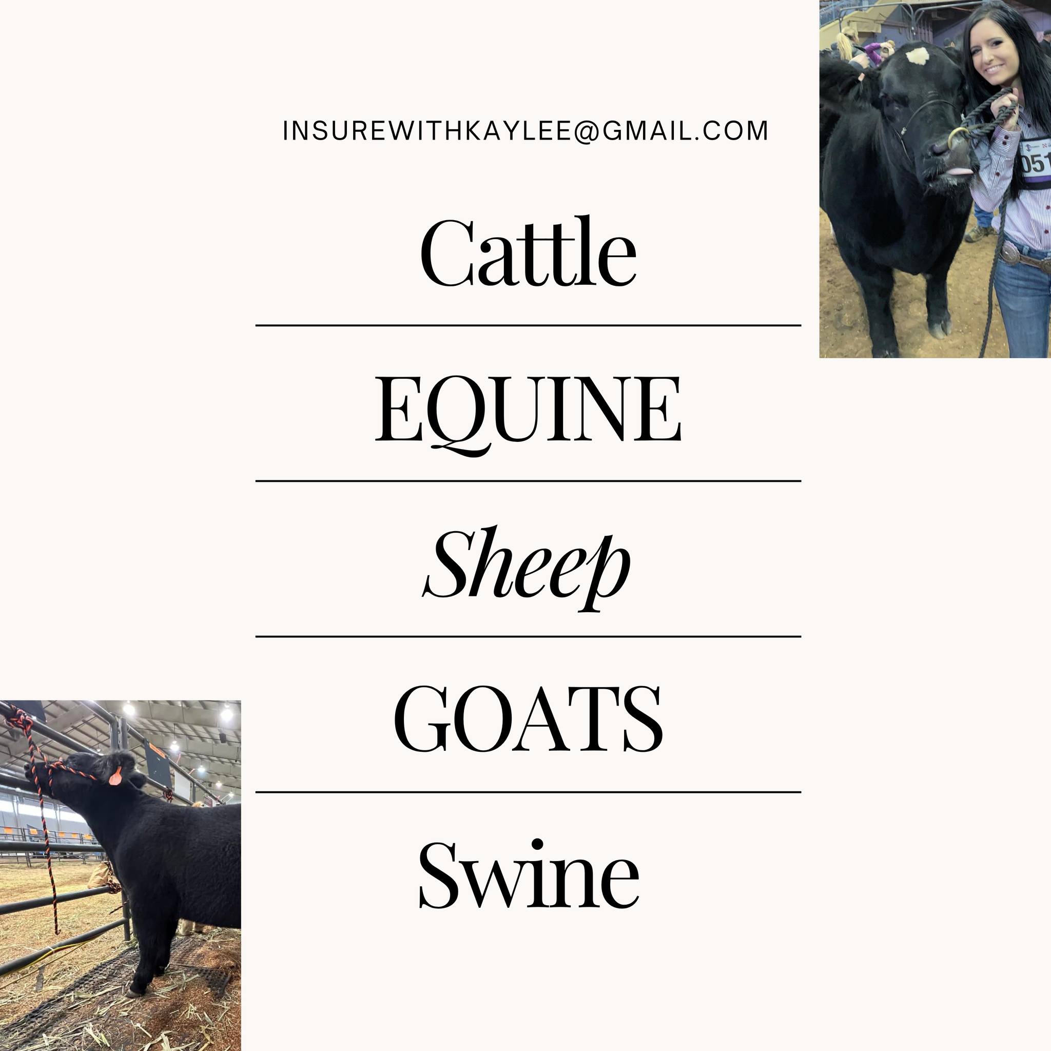 We get tons of emails asking “Do you cover this species?”—so here’s your quick answer!
-Cattle
-Equine
-Sheep
-Goats
-Show Animals
If it’s valuable to you, it’s worth protecting.
https://www.kayleeimkeequineagent.com/