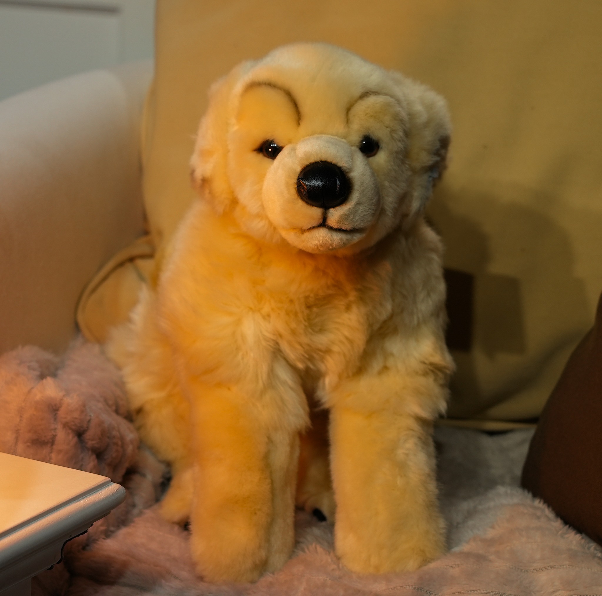 Découvrez notre peluche Chien ! 🐶💝
Passez commande :
https://www.lecomptoirdesauthentics.com
#cadeauoriginal #doudou #peluche #boutiqueenligne #chien