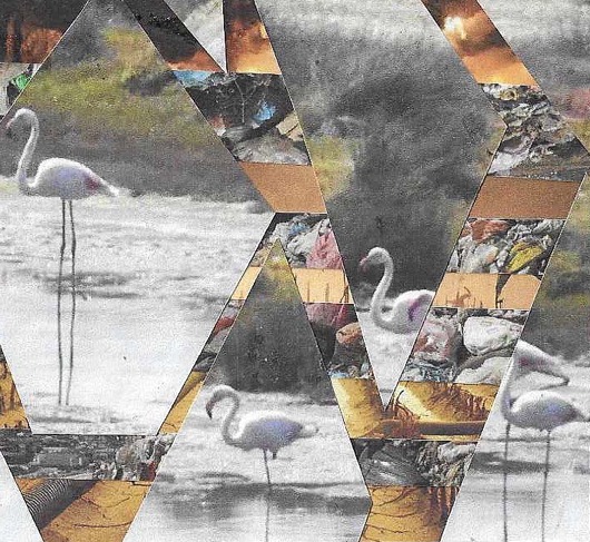 For the past months, Apo Gonidellis has been @latra.gr's resident artist for the WATERFRONTS project in Lesvos, Greece.
Apo is a visual artist working at the intersection of photography and socially engaged art — using image-making as a space for dialogue, connection, and care. Their practice focuses on community collaboration, bringing together local residents, refugees, and youth to explore how environmental and social challenges shape daily life on the island.
From Lesvos — where the frontlines of climate change and migration meet — Apo turns collective experience into art that listens, heals, and transforms. Stay tuned as The Currents of Lesvos, a participatory exploration of resilience and belonging, is about to begin.
#CreativeEurope #Waterfronts #LATRA #Lesvos #Greece #EcoAnxiety #CultureForClimate #SociallyEngagedArt #EcoResilience #CoastalCommunities #sdgs