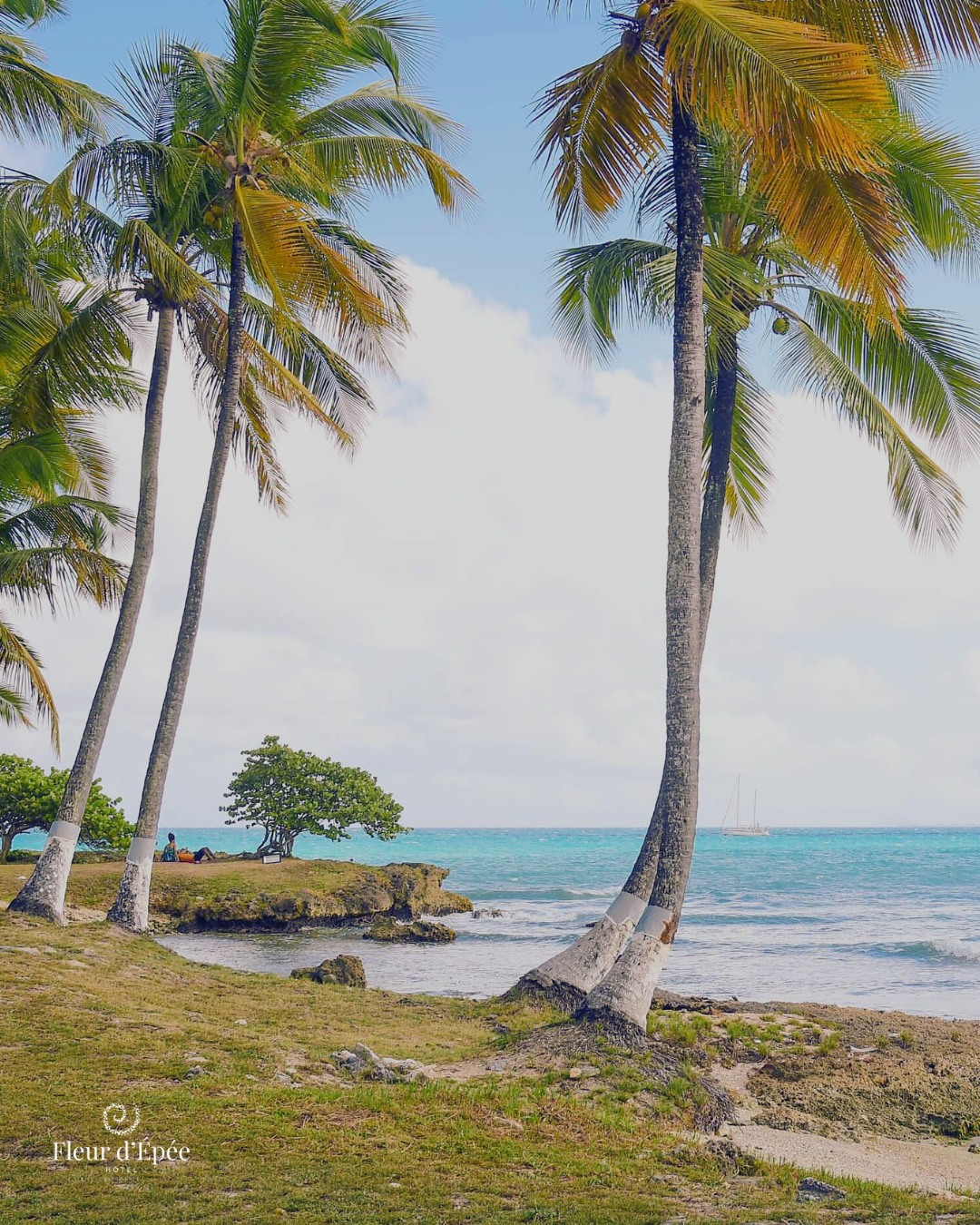 Chaque instant chez nous devient une parenthèse de sérénité, où le littoral de l’hôtel se transforme en écrin de détente et d’évasion. Nos clients en profitent sereinement, preuve à l'appui avec ce couple que l'on observe au loin 👀
Venez vivre cette expérience et laissez la beauté des lieux vous inspirer ✅