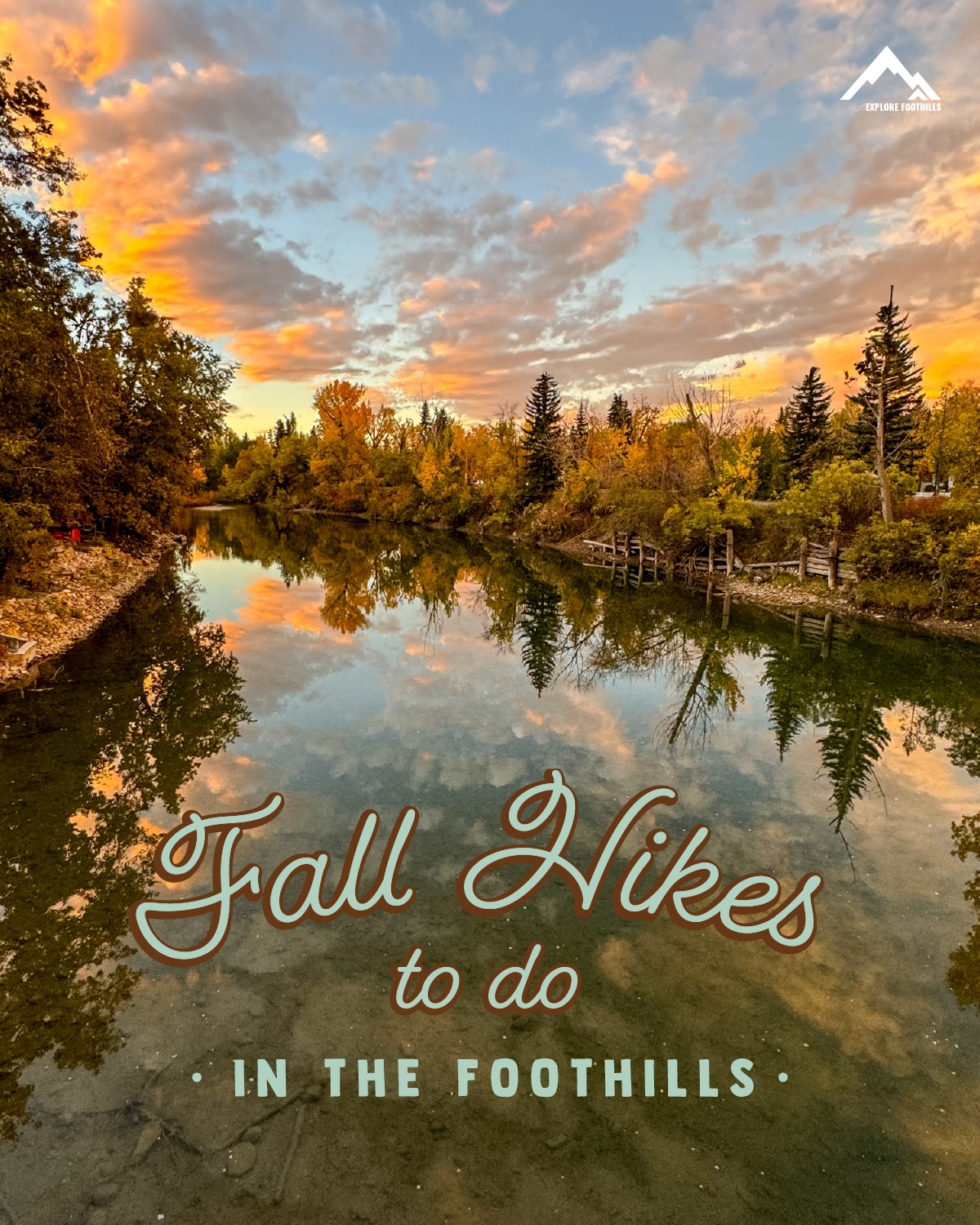 Looking to get outside and explore this fall? 🍂
The Foothills are full of scenic hikes perfect for every level — from easy, family-friendly strolls to trails with breathtaking views and vibrant autumn colours. Wander through forests, along rivers, and over rolling foothills just a short drive from Calgary.
Top hikes to see fall foliage:
🗻Elbow Falls Trail (Bragg Creek) – Easy walk to the stunning falls, surrounded by golden aspens and pines.
🗻Sheep River Provincial Park (Diamond Valley) – Trails along the river framed by colourful trees, perfect for a peaceful autumn escape.
🗻McLean Creek Provincial Recreation Area (Bragg Creek) – Forests with bright yellows and oranges make for a quiet, scenic hike.
🗻Raspberry Ridge (Longview) – Panoramic foothills views with surrounding aspens and shrubs in vibrant fall colours.
🗻Cat Creek Falls (Longview) – Short trail leading to a picturesque waterfall with surrounding forest bursting with autumn colours.
Whether you’re after a short walk or a longer adventure to soak in Foothills scenery, these trails are ideal for fall foliage lovers.
#FoothillsAB #HikingAlberta #FallHikes #ExploreAlberta #NatureLovers #OutdoorAdventures #TrailTime #AutumnViews #SheepRiver #ElbowFalls #McLeanCreek #RaspberryRidge #CatCreekFalls #LongviewAB #FallFoliage #HikeFoothills #GetOutside #FoothillsTrails