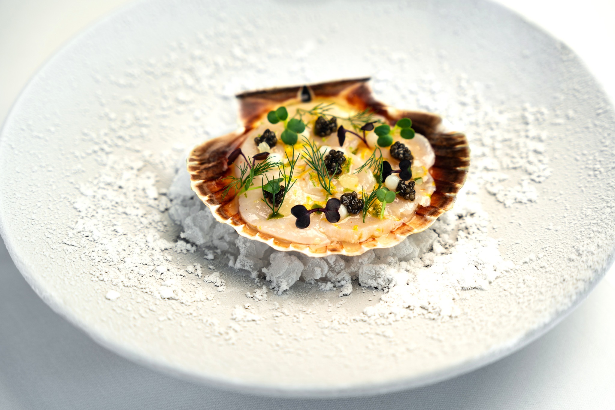 A taste of exception awaits ...
At Pierre's TT, discover a new seasonal menu crafted by 3-Michelin-starred chef Pierre Gagnaire where bold flavours and delicate textures meet in perfect harmony.
For more information and bookings, please visit pierresdubai.com or call us at +971 56 525 6669
#newmenu #PierresDubai #GaultMillauUAE #DubaiDining #DubaiFoodie #MichelinStar #MichelinGuide #LuxuryDining #FrenchCuisine #PierreGagnaire