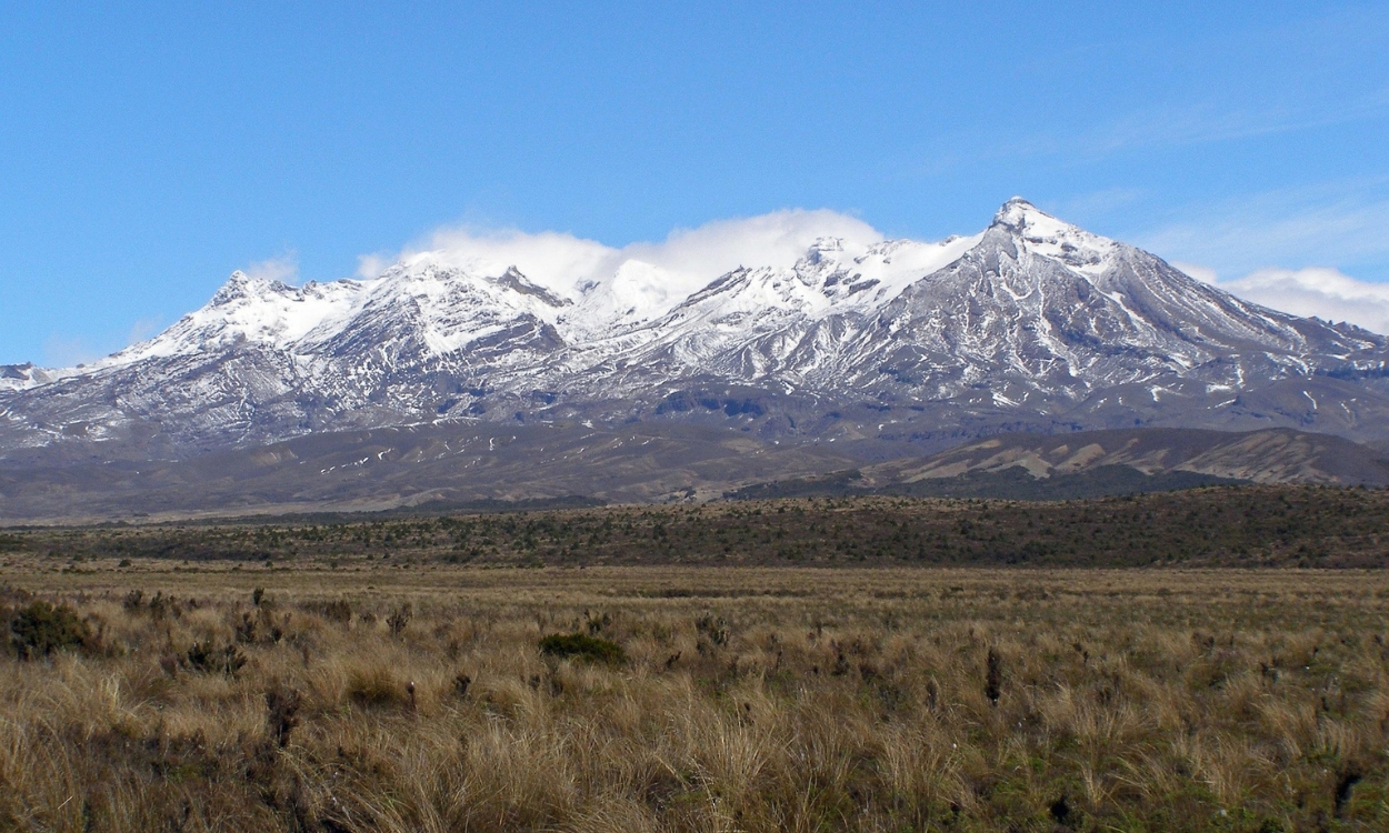 Na Nova Zelândia, a natureza fala mais alto: montanhas, lagos e florestas revelam um mundo puro, onde a aventura e a harmonia com a Terra se encontram 🌿✨
#newzealand #natureza #lordofrings #aventura #AventuraSemLimites #cultura