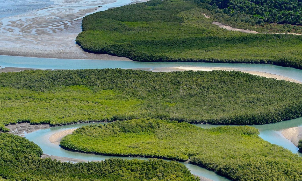 A Guiné-Bissau é um dos segredos mais bem guardados da África Ocidental. Rica em tradições, diversidade cultural e paisagens naturais intocadas, o país oferece uma experiência autêntica e única a quem o visita. Entre ilhas paradisíacas, reservas naturais e um património histórico marcado pela herança africana e colonial, viajar pela Guiné-Bissau é mergulhar num destino genuíno, longe dos roteiros turísticos mais convencionais.
#GuinéBissau #AfricaAutêntica #DescobrirAfrica #ViagemComAlma #IlhasBijagós #TurismoSustentável #CulturaAfricana #NaturgiftExpeditions #DestinosSecretos #BeNaturgift