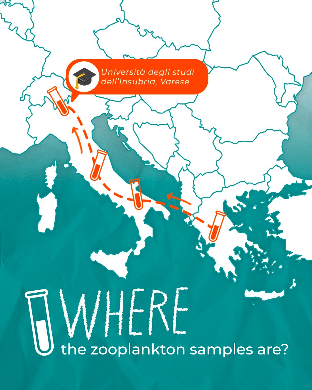 Dal mare al laboratorio! 🌊🧪
I campioni di zooplancton raccolti nel Mediterraneo Sud-Orientale sono ora all’Università degli Studi dell’Insubria, pronti per essere analizzati 🔬
~
From the sea to the lab! 🌊🧪
Zooplankton samples collected in the Southeastern Mediterranean are now at the University of Insubria, ready to be analysed 🔬
A project by @cvcaprera
Scientific partner @oneoceanfound
#progettoMARE #aboutMARE #CentroVelicoCaprera
#MarineResearch #WeAreAllOneOcean #RespectTheOcean #OneOceanFoundation