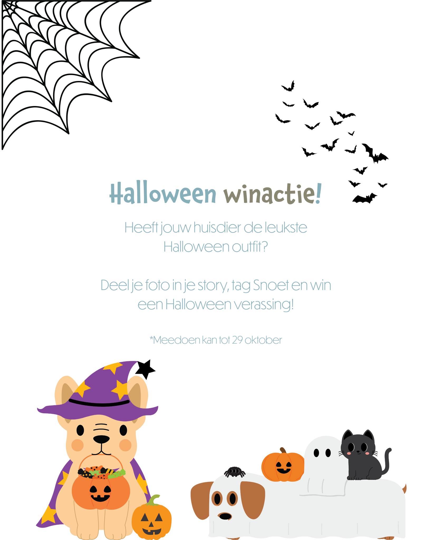 🎃 Halloween Winactie bij Snoet! 👻
Tot 29 oktober kun jij meedoen en kans maken op een griezelig leuke Halloween verrassing voor jouw huisdier!
Wat moet je doen?
📸 Deel een foto van jouw huisdier in Halloween-sfeer in je Instagram Story
🏷️ Tag @snoetborne zodat we je inzending zien
🕸️ De winnaar maken we bekend op 30 oktober via onze story!
#SnoetBorne #HalloweenMetJeHuisdier #WinactieHalloween #DierenwinkelTwente #DogLoversNL #Kattenliefde #BornseOndernemers #GriezeligLeuk #HuisdierInDeSpotlight #HalloweenPets