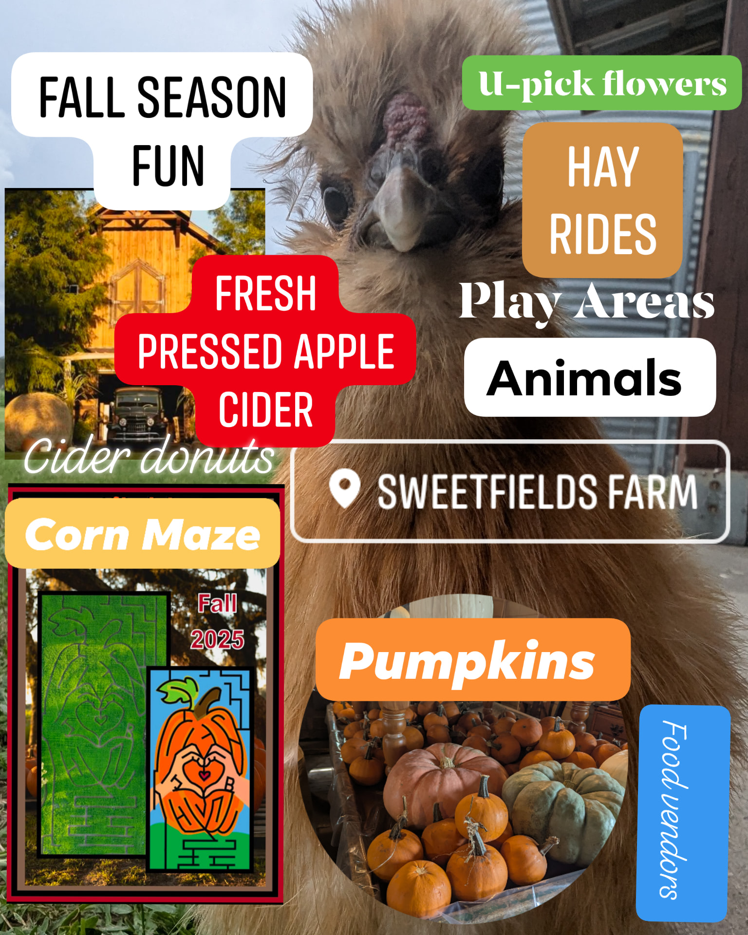 It's time to start getting everyone together for an AWESOME FALL SEASON OUTING ๐๐๐ฝ๐คธ๐ผ
Sweetfields Farmโs 18th Annual Fall Festival runs through November 9th! โจ
Bring the whole family and make unforgettable memories with:
๐ฝ Two Corn Mazes
๐ Pumpkin Patch
๐ Farm Animals
๐ Hayrides & Pedal Tractor Races
๐ฏ Pumpkin Launcher, Pumpkin Bowling & Cornhole
๐ Fresh Pressed Apple Cider
๐ Harvest Barn Market + Food Vendors
โฆand so much more!
โจ Tickets sell out fast โ donโt wait! โจ
๐ Get yours now:
๐ Learn more: SweetfieldsFarm.com
๐
Mark your calendars, tag your fall crew, and letโs make this season the best one yet! ๐โจ