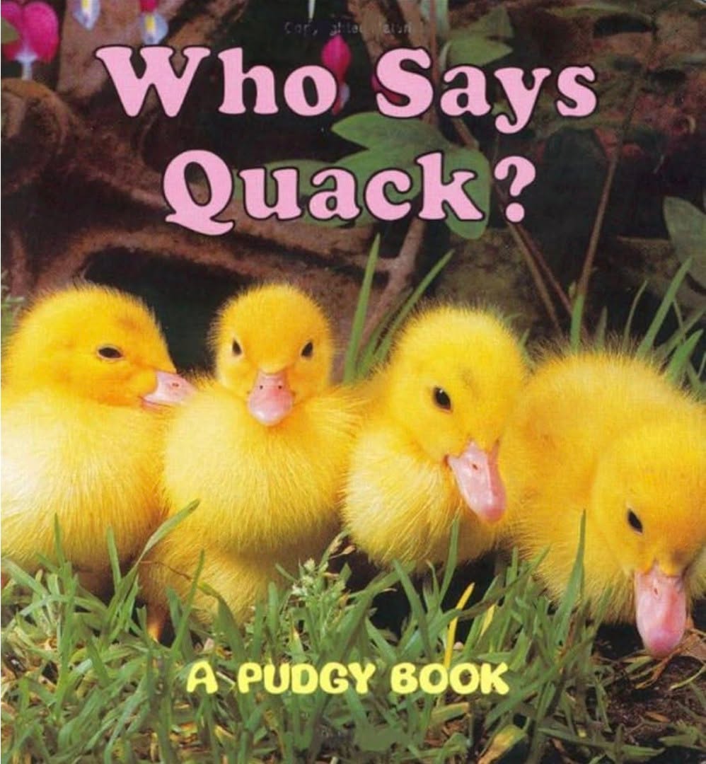 Dolly Parton’s Imagination Library has our newest book lovers in mind with the Pudgy board book, “Who Say’s Quack?” Does a goat say quack? Does a sheep say quack? Hearing and imitating these animals is great fun! The color photos add to the experience. Add to this fun with the activity sheet available at https://www.famconn.org/eyc-literacy-connection