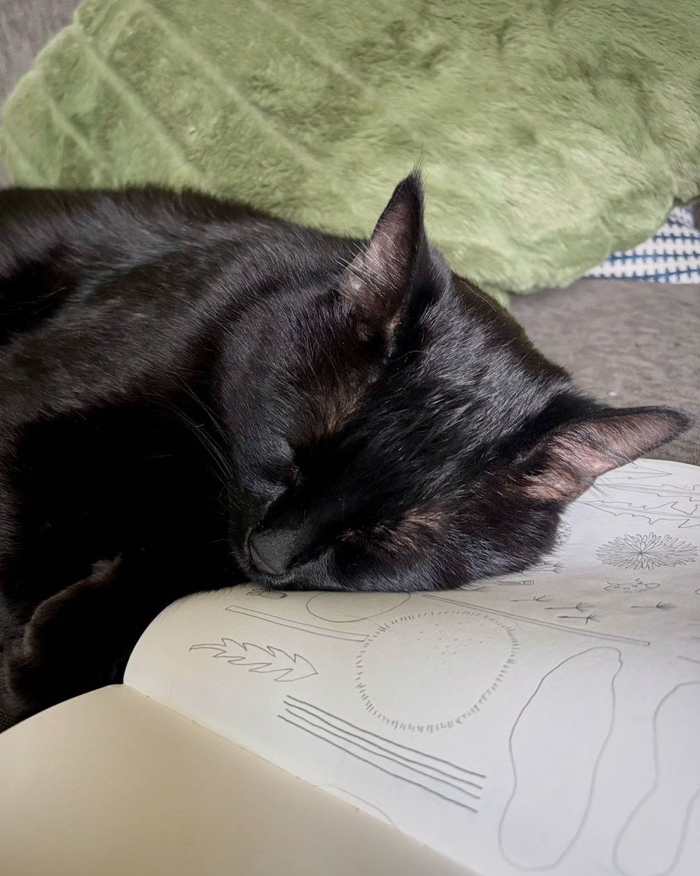 Someone likes to nap on my sketchbook.