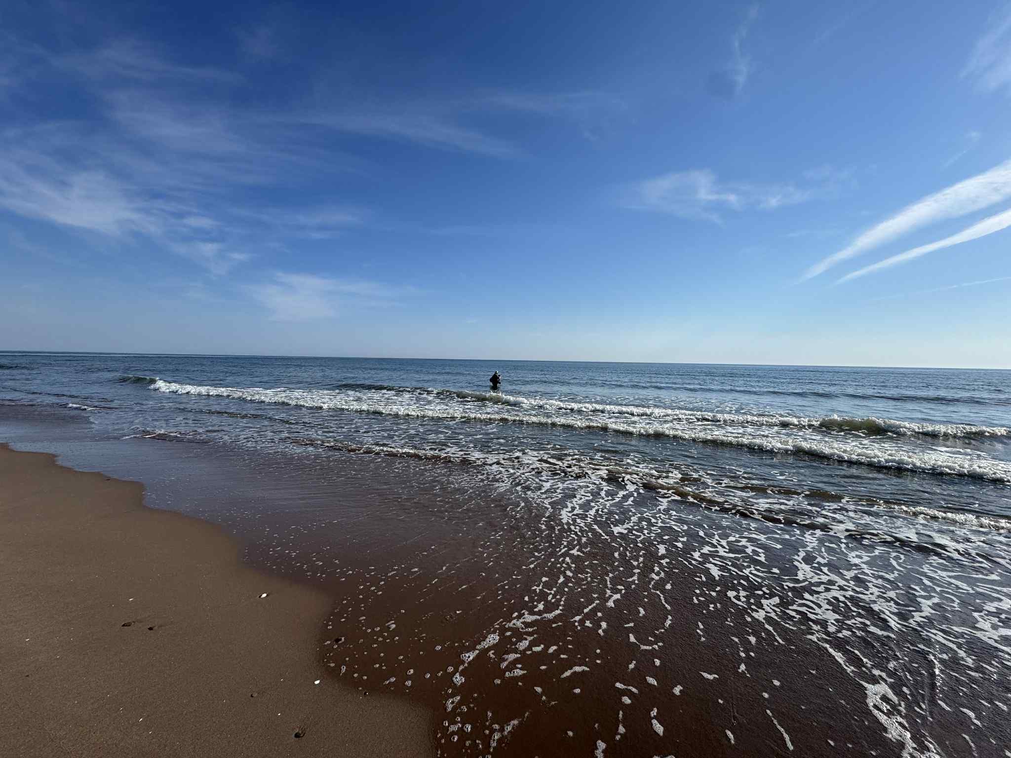 Le décomptes de la semaine jusqu'à date 52 bars rayé, le plus gros 32 pouces.