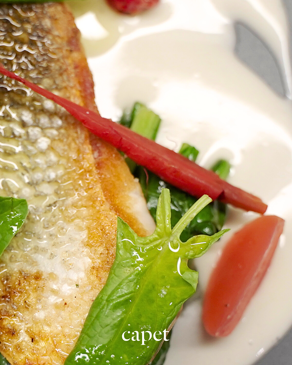 La textura y el color marcan el ritmo de la creación.
Una expresión serena de técnica y naturalidad.
🔗 Reserva fácilmente desde el enlace en nuestra bio
📍 Carrer del Cometa, 5, Ciutat Vella, 08002 Barcelona
📞 937 20 44 21
#capetrestaurante #barcelonarestaurants #cocinahonesta #temporadaencapet #restaurantesbarcelona #guíamichelin #cocinadeautor #cocinatecnica #productolocal #barriogotic