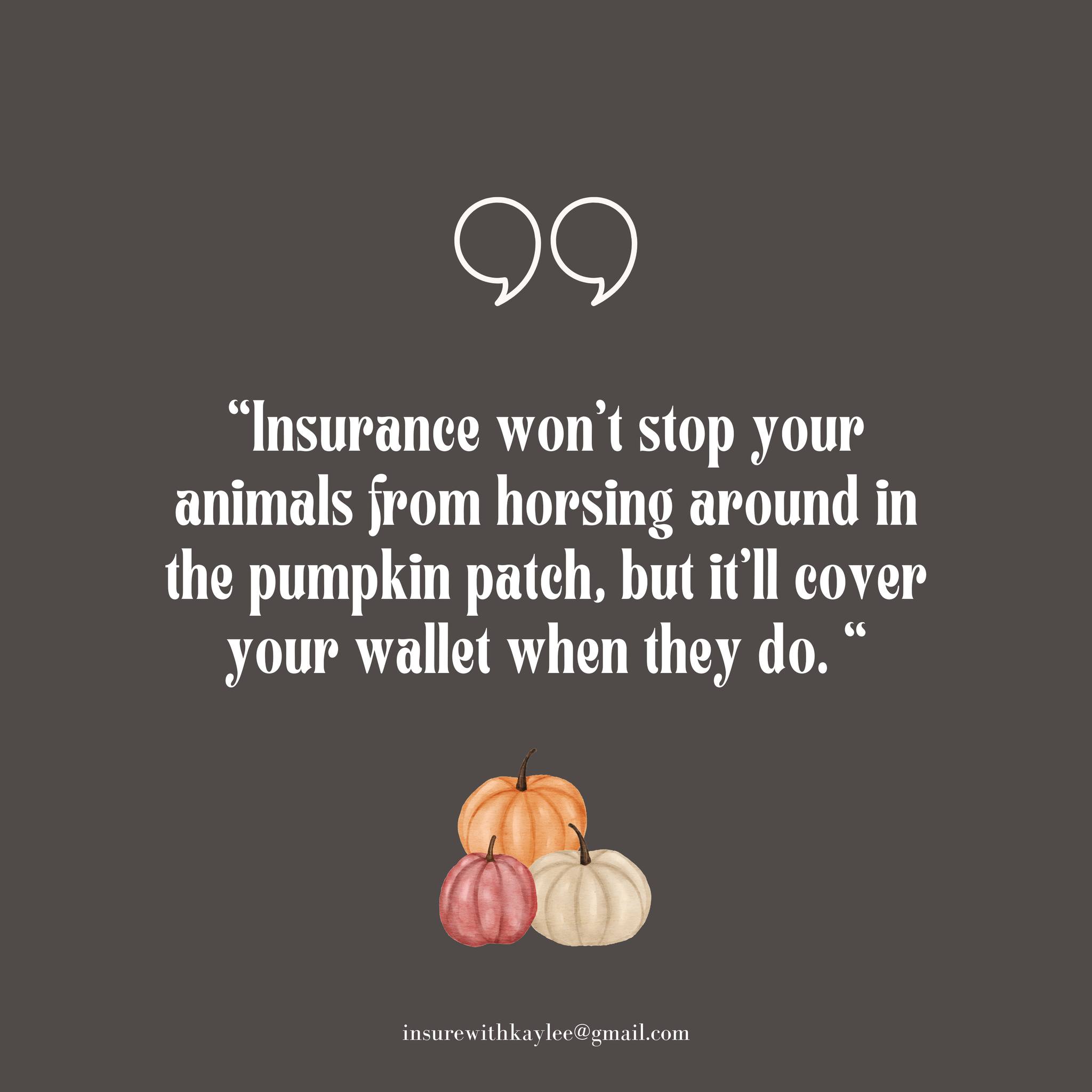 Your animals see a pumpkin patch. We see a claim waiting to happen.
Insurewithkaylee@gmail.com
https://www.kayleeimkeequineagent.com/