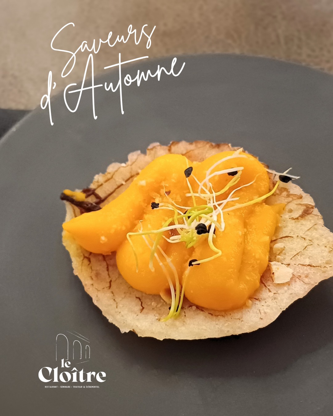 🍂 𝐌𝐞𝐧𝐮 𝐓𝐞𝐫𝐫𝐨𝐢𝐫 𝐚𝐮𝐱 𝐬𝐚𝐯𝐞𝐮𝐫𝐬 𝐚𝐮𝐭𝐨𝐦𝐧𝐚𝐥𝐞𝐬 🍂
Ce week-end, venez découvrir au Cloître notre Menu Terroir revisité : créativité, authenticité et gourmandise au rendez-vous !
📞 Réservations au 03 85 89 18 91
👉 Menu à découvrir en intégralité sur notre site internet : www.restaurantducloitre.fr/le-menu-terroir
#restaurantducloitre #saoneetloiretourisme #route71 #incontournables71 #bourbonlancytourisme #bourbonlancy #charolaisbrionnais #destinationsaonetloire #bourgogne #bourgognefranchecomté