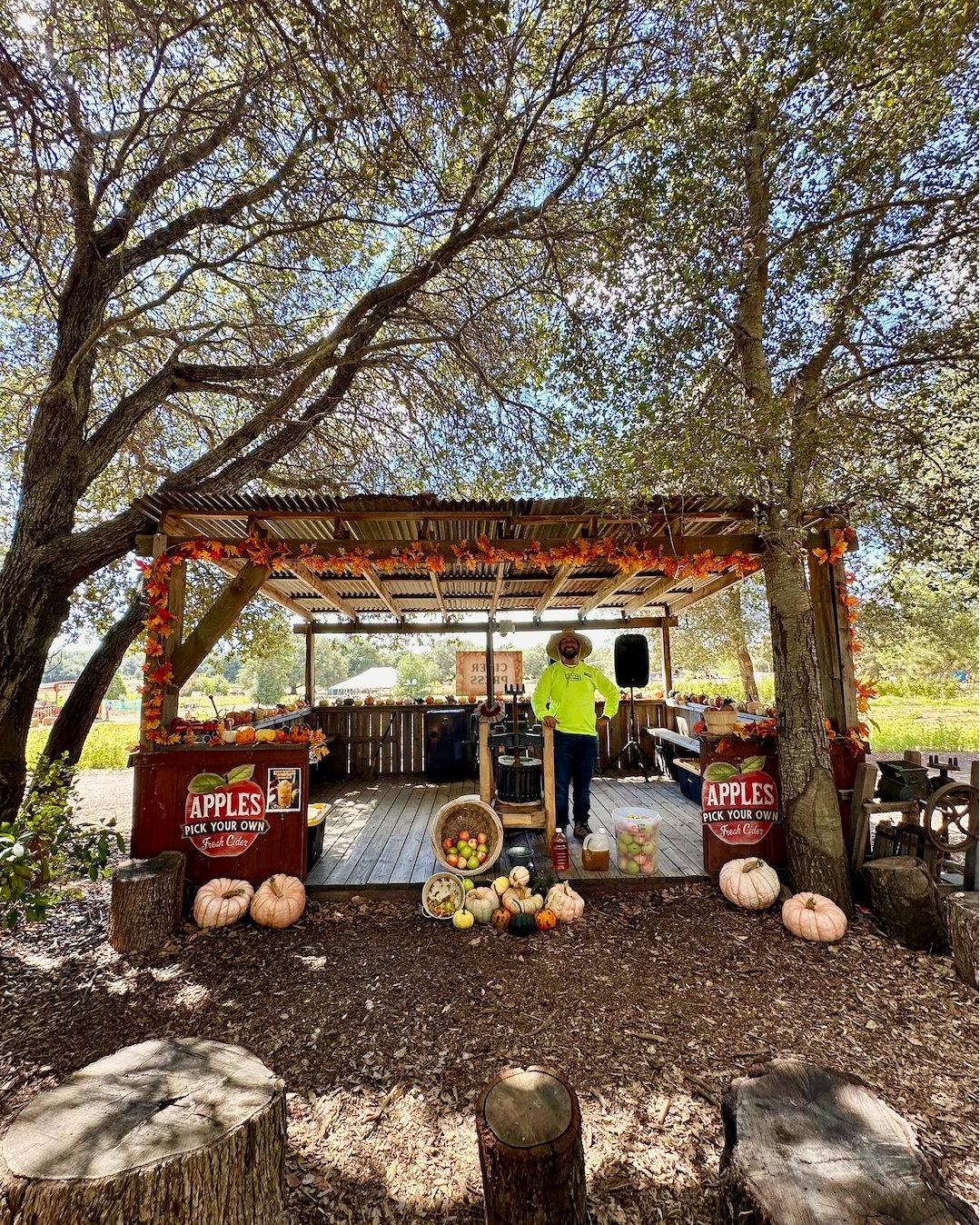 5 Ways to Get Your 🍎 Apple 🍏 Fix (Beyond the Orchard!)
Think the only way to enjoy apple season in Julian is by picking them? Think again!
We've got plenty of exciting, apple-focused activities happening on the farm:
🍎 watch our Cider Press Demonstration
🍏 shoot the Apple Cannons
🍎 enjoy an Apple Cider Slushies
🥧 Buy a whole apple pie
🍏Bags of hand-picked Julian apples are sold onsite
🍎 Take a gallon of Julian apple cider home with you
We're open all weekend, ready for your apple adventure!
#sandiegopumpkinfarm #julianupickfarm #santaysabel #sandiegopumpkinpatch #sandiegoagricutlure #sandiegofarm #sandiegoagritourism #sandiegobackcountry #sandiegomountains #JulianFarmAndOrchard #sandiegocounty #visitjulian #juliancalifornia #wynolacalifornia #appledays #julianappledays #appleseason #julianappleseason