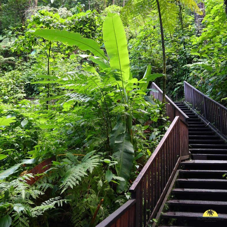 𝐂𝐚𝐩 𝐬𝐮𝐫 𝐥𝐚 𝐆𝐮𝐚𝐝𝐞𝐥𝐨𝐮𝐩𝐞 : 𝐞𝐧𝐭𝐫𝐞 𝐩𝐥𝐚𝐠𝐞𝐬, 𝐧𝐚𝐭𝐮𝐫𝐞 𝐞𝐭 𝐝𝐨𝐮𝐜𝐞𝐮𝐫 𝐝𝐞 𝐯𝐢𝐯𝐫𝐞
Besoin d’évasion ? La Guadeloupe t’invite à découvrir ses paysages tropicaux, entre sable blanc, lagons turquoise et forêts luxuriantes. Ici, chaque île a son caractère : Basse-Terre séduit les amoureux de randonnée avec son volcan, la Soufrière, et ses cascades cachées, tandis que Grande-Terre enchante par ses plages et son ambiance créole.
Ajoute à cela la cuisine parfumée, les marchés colorés et la chaleur de l’accueil local… et tu obtiens une destination idéale pour un voyage alliant détente, découverte et authenticité.
#Guadeloupe #VoyageTropical #IlesCaraïbes #VoyageSurMesure #SoleilEtPlage #AventureEtDétente #romontregion #fribourgregion