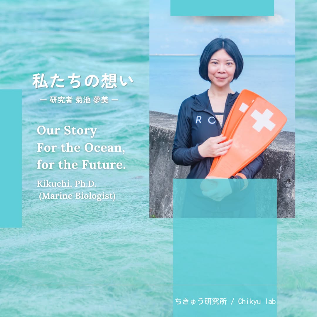 私たちの想い
ちきゅう研究所(ちきゅうラボ)の菊池夢美です。
私は宮古島でエコツアーと環境教育をすすめています。
私は大学生の頃、水族館で出会ったマナティーに一目惚れしました。
その出会いが、人生を変えました。
アマゾン川のマナティーを研究テーマに選び、博士号を取得。
メキシコ、ペルー、そしてカメルーンへとフィールドを広げ、マナティーの調査研究と保全プロジェクトを進めてきました。
水族館と連携して行動研究にも取り組んでいます。
世界中のマナティーたちを見つめてきて、強く感じたのは—「研究だけでは、守れない」ということ。
どれだけ論文を書いても、現地でマナティーと共に生きる人たちには届きませんでした。
本当に必要なのは、科学的な知識を“わかりやすく伝えること”。
それが、保全の第一歩だと思いました。
そこで、一般社団法人マナティー研究所を立ち上げて、国内外で環境教育を行ってきました。
けれど、教室の中では伝えきれないものがあります。
もっとみんなを私のフィールドに連れていきたいー それを実現できる“現場”が必要だと感じました。
日本には野生のマナティーはいません。
けれどその仲間であるジュゴンが、今も沖縄の海に姿を見せています。
特に、宮古島ではジュゴンの目撃例が多く、エサ植物を食べた跡もたくさん確認されています。
ここ宮古島で、ジュゴンや生きものを通して海の生態系を学び、自然と向き合う体験を広めていきたい。
それが、私がこの地で活動を始めた理由です。
研究者として、そして自然を大切に想うひとりとして。
宮古島の海から、“知ること”を通じて守る活動を続けていきます。
⭐︎
⭐︎
Hello, I’m Dr. Mumi Kikuchi, marine biologist and founder of the Japan Manatee Education and Study Lab (JAMES).
Here on Miyako Island, I lead Chikyu Lab — connecting science, education, and eco-tourism to protect the ocean.
My journey began when I met manatees at Okinawa Churaumi Aquarium as a student — a moment that changed my life.
After earning my Ph.D. on Amazonian manatees, I expanded my research to Mexico, Peru, and Cameroon, leading global conservation projects.
Through years of work I learned one truth:
Science alone cannot protect nature.
Real conservation begins when knowledge is shared and experienced.
That belief led me to create JAMES, promoting environmental education and the beauty of biodiversity.
But I wanted people to step outside the classroom — to see, feel, and learn directly from the living nature.
Japan has no wild manatees, but their close relative, the dugong, still visits the waters around Okinawa.
Miyako’s rich seagrass meadows make it the perfect place to learn about this gentle species.
To make this vision real, I founded Chikyu Lab, a new initiative born from the JAMES.
Through eco-tours and hands-on learning, we invite families, students, and organizations to discover and protect the sea together.
As a researcher — and as someone who loves the nature — I’m committed to sharing knowledge and inspiring action to keep Miyako’s blue waters alive for the future.
#miyakoisland #宮古島 #エコツアー #ecotour