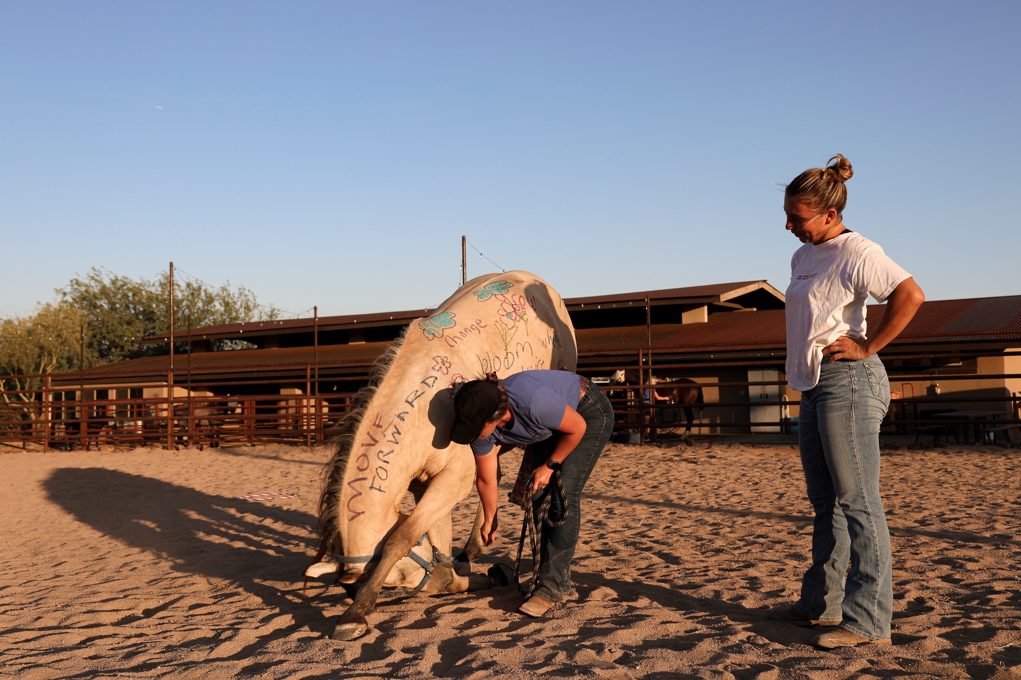 Clyde's been practicing his special trick. For such a big guy, he's pretty flexible!
