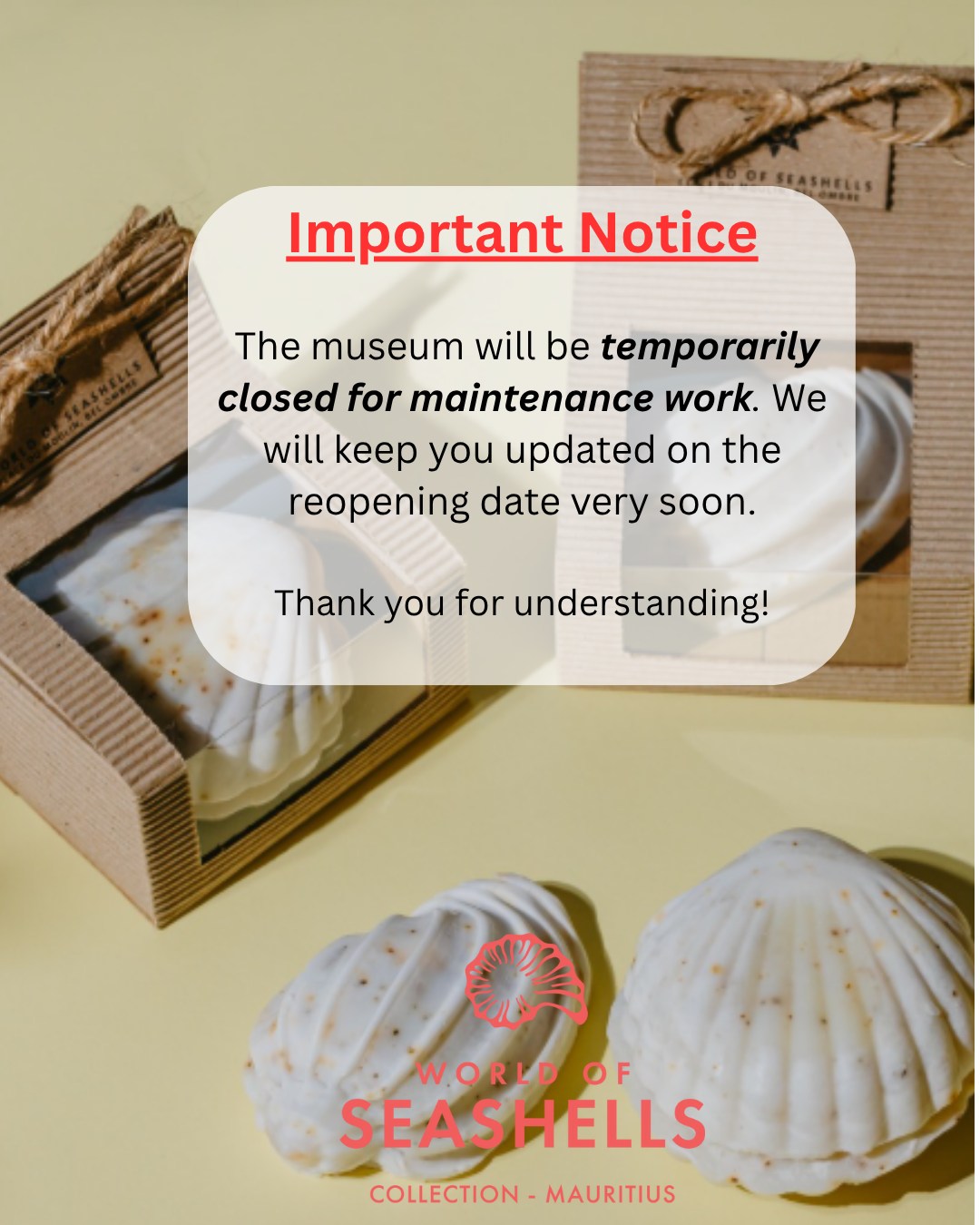 ð§ Temporary Closure Notice
World of Seashells will be closed from Wednesday 8 October at 1 p.m. for essential maintenance work.
Weâll let you know as soon as the reopening date is confirmed.
Thank you for your patience â weâll be back soon, ready to welcome you again!
#WorldOfSeashells #VisitorNotice #MauritiusMuseums #SeeYouSoon