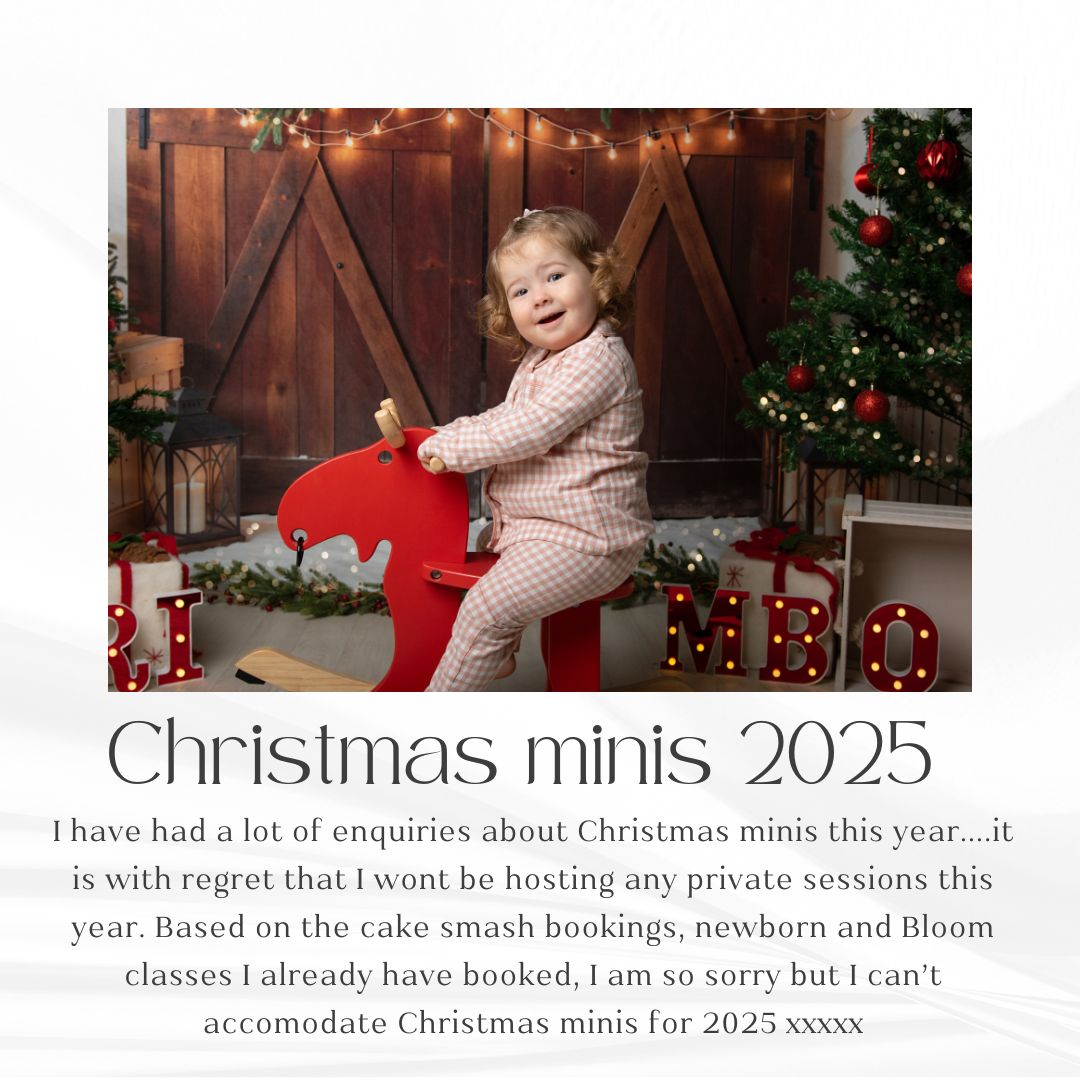 I am so very sorry to have to omit Christmas minis from my diary this year. Never did I think I would be so booked up that I cant find the space to host them in my studio. I appreciate every much everyone who has expressed an interest in a Christmas mini for 2025 and for supporting my business. xxxxx
