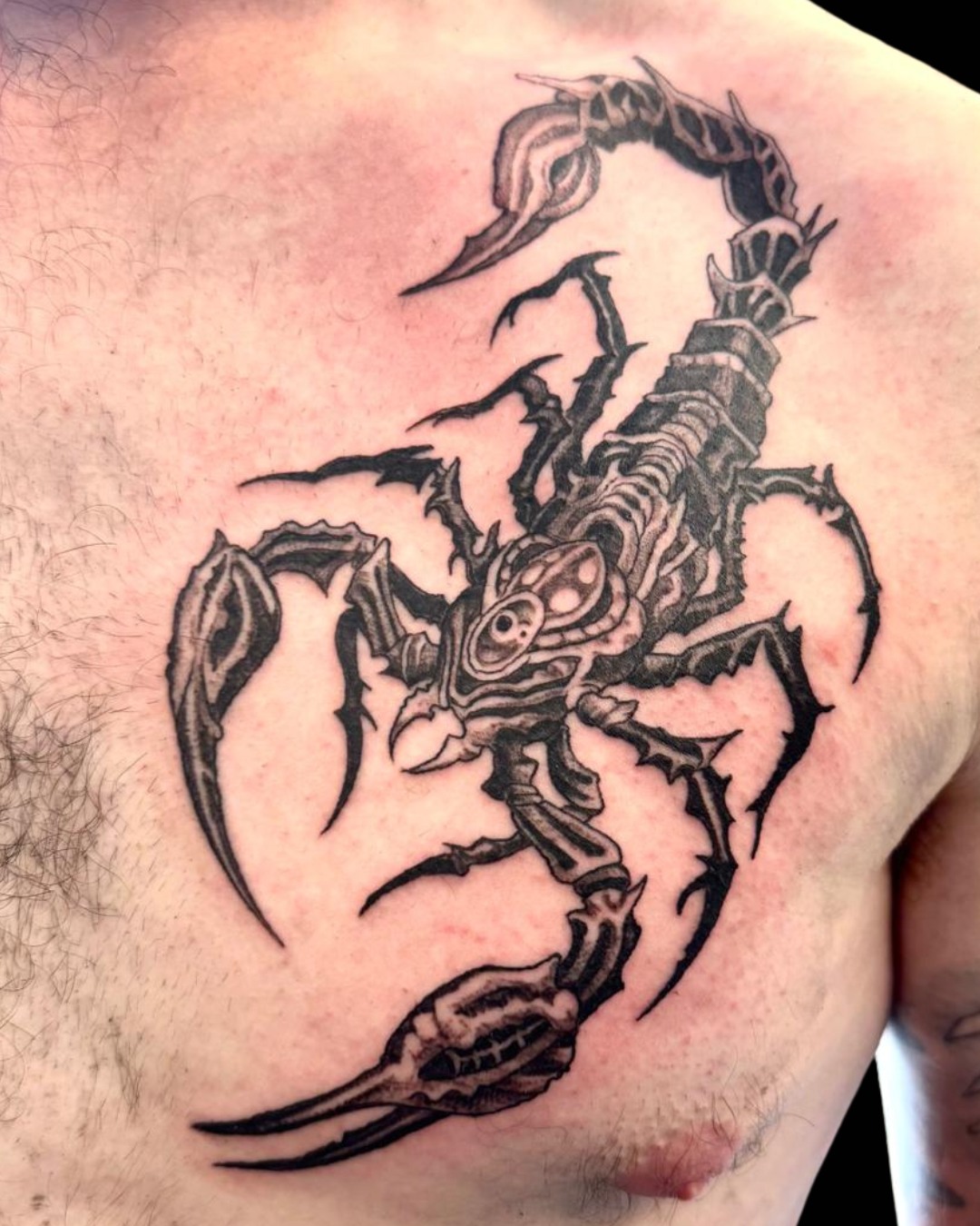 #chesttattoo #scorpion #scorpio #astrology #arachnid #tattooinspirations #tattooink #tattooinkinspirations #tattoodesigns #tattooshedhemel #tattooshed #bodyart #tattoosandpiercings #tattooartist #tattooideas #tattooshedtattoos #tattooshopnearme #tattooshemelhempstead #hemelhempsteadtattoos #tattooshemel #tattooist #tattooed #tattooart #tattoolife #tattoostyle #tattoodesign #tattoostudio #tattooinspiration #tattoos