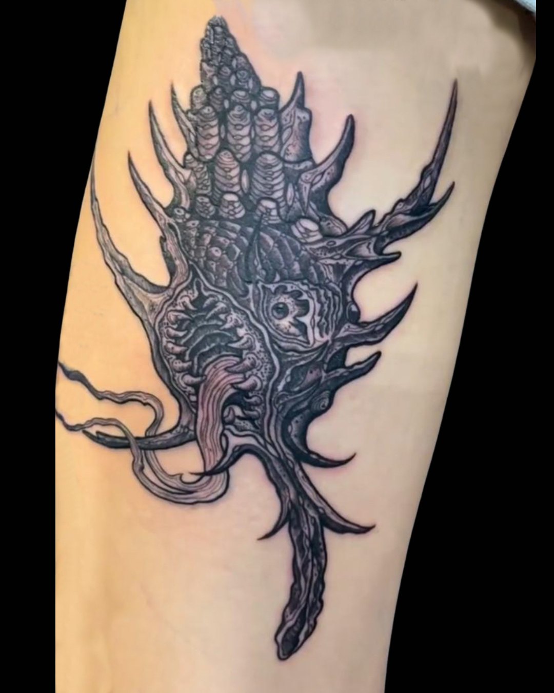 #armtattoo #conchshell #spiderconchshell #shell #darktattoos #tattooinspirations #tattooink #tattooinkinspirations #tattoodesigns #tattooshedhemel #tattooshed #bodyart #tattoosandpiercings #tattooartist #tattooideas #tattooshedtattoos #tattooshopnearme #tattooshemelhempstead #hemelhempsteadtattoos #tattooshemel #tattooist #tattooed #tattooart #tattoolife #tattoostyle #tattoodesign #tattoostudio #tattooinspiration #tattoos