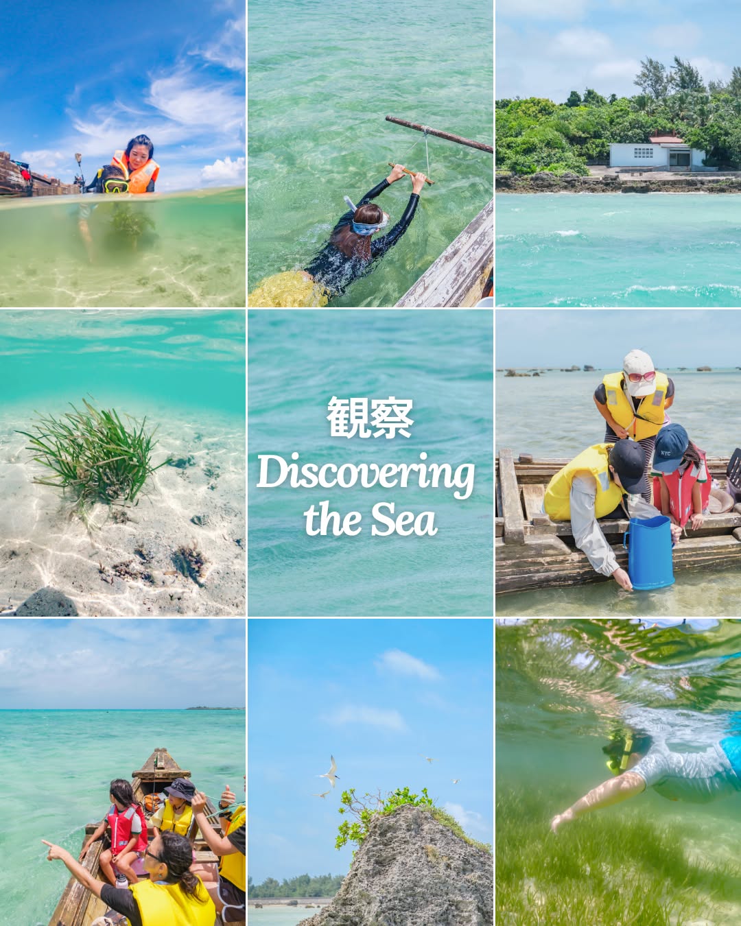 海の観察 – Discovering the Sea
水の中には、たくさんの命が息づいています。
ウミガメ、海草、魚たち——すべてがつながっています。
⭐︎
⭐︎
Beneath the surface, life thrives in many forms.
Sea turtles, seagrass, and fish—all are connected.
#宮古島 #エコツアー #生物多様性 #ジュゴン
#miyakojima #miyakoisland #biodiversity #dugong #ecotourism #ecotour