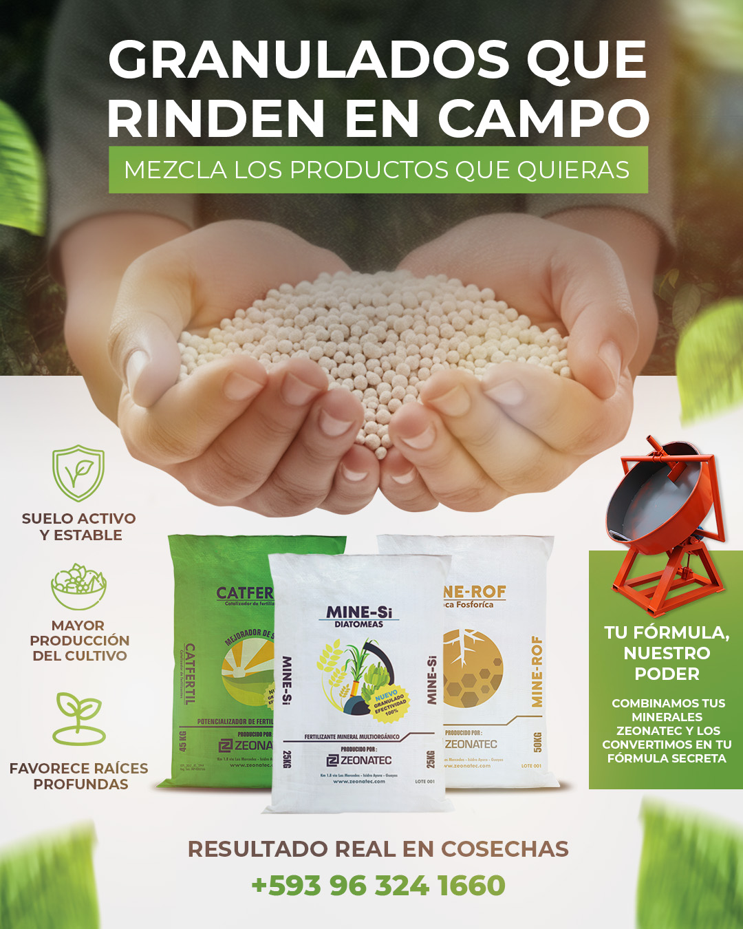 🌾 GRANULADOS QUE RINDEN EN CAMPO
En Zeonatec transformamos tus minerales en resultados reales. 💪✨
🔐 Tu “fórmula secreta”, nuestra potencia
Mezclamos Mine-Si (diatomeas/silicato de calcio), Zeolita, Catfertil y Mine-ROF y los granulamos a medida: desde microgranulado hasta tamaños mayores según tu manejo. ⚙️📦
¿Por qué granulado Zeonatec?
✅ Suelo activo y estable 🌱
✅ Raíces más profundas ↘️🌿
✅ Mayor producción 📈
✅ Menos polvo, mejor distribución 🌬️➡️
✅ Aplicación fácil y uniforme 🧑🌾🤲
Ideal para: banano 🍌, cacao 🍫 y frutales de exportación 🍍—lotes consistentes, cosechas que se notan.
Tú defines el objetivo ➜ nosotros la ingeniería
Calidad, trazabilidad y proceso pensado para que tu programa nutricional sea más eficiente y rentable. 🧪🧭
💬 Asesoría directa
Escríbenos por WhatsApp y armamos tu mezcla exacta:
📲 +593 96 324 1660
Tu fórmula, nuestro poder. ⚡