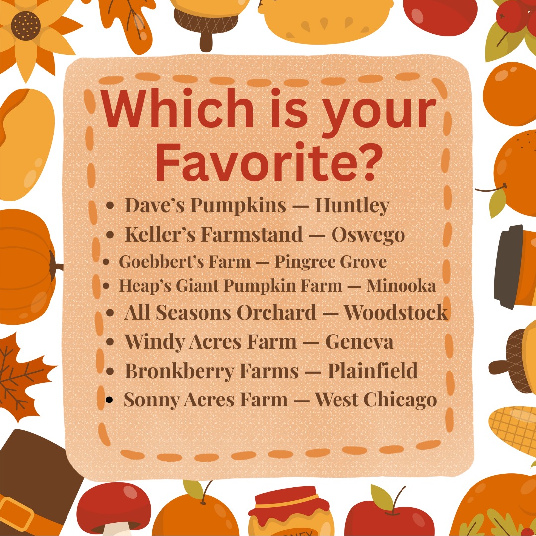 đđ Fall isn't complete without a trip to the pumpkin patch!
There are so many amazing local spots⌠but we want to know:
đ Which is YOUR go-to?
Did we list your favorite? Or do you have a hidden gem we need to try?
đ Drop your pick in the comments & tag your patch buddy!
And if youâve already picked pumpkins this yearâpost a pic, weâd love to see it! đ¸đ
#PumpkinPatchSeason #FallFun #LocalFavorites #PumpkinPicking #MyCookieCottage #FallPoll