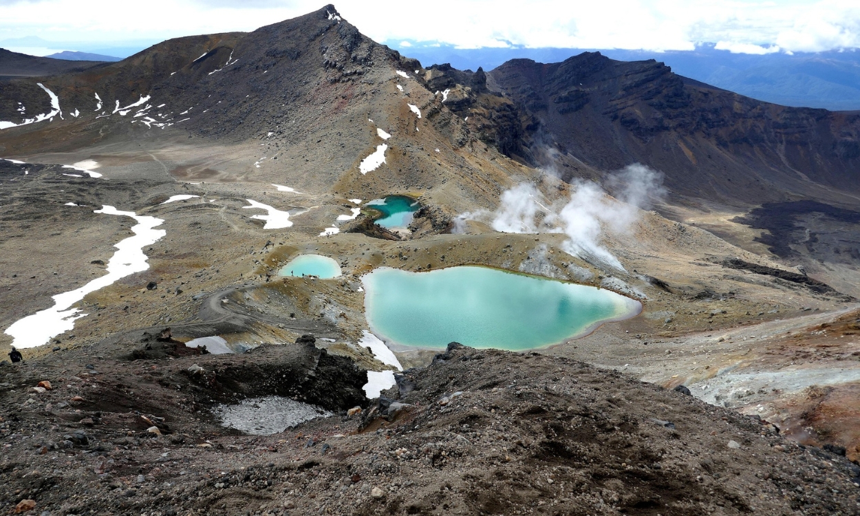 🌿✨ 𝗡𝗲𝘄 𝗭𝗲𝗮𝗹𝗮𝗻𝗱: natureza à flor da pele, aventura a cada curva, e sustentabilidade no coração de cada experiência!