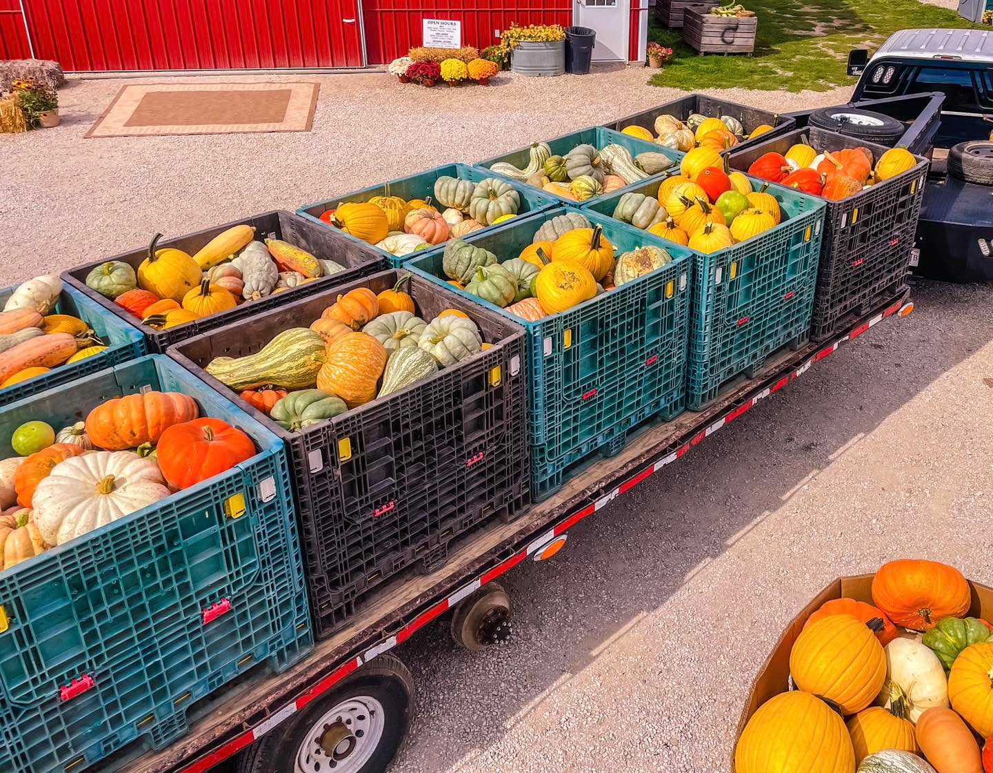 🎃 The Field Crew’s Been Busy! 🎃
Fresh from our field to the farm market — perfect for carving, baking, and fall decorating. 🍂🧡
📍 16727 Airport Rd, Clinton
⏰ Thur-Sun I 10am - 5pm
#PumpkinSeason #FarmFreshFun #MariahsMumsAndMore #PumpkinPatchVibes