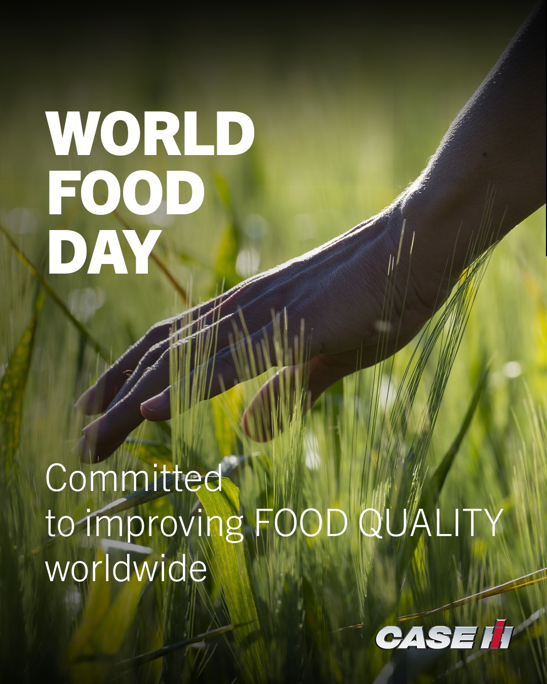 On World Food Day, we reaffirm our commitment to supporting a reliable and nutritious food supply worldwide. Today, agricultural technology plays a key role in empowering farmers to produce high-quality crops efficiently and sustainably.
Together, we are shaping a future.
Get in touch with your authorised dealer in Malawi here: https://www.hejackson.com/case-ih-agriculture
#caseihagriculture #agricultureservices #hejacksonengineering #agriculturemalawi