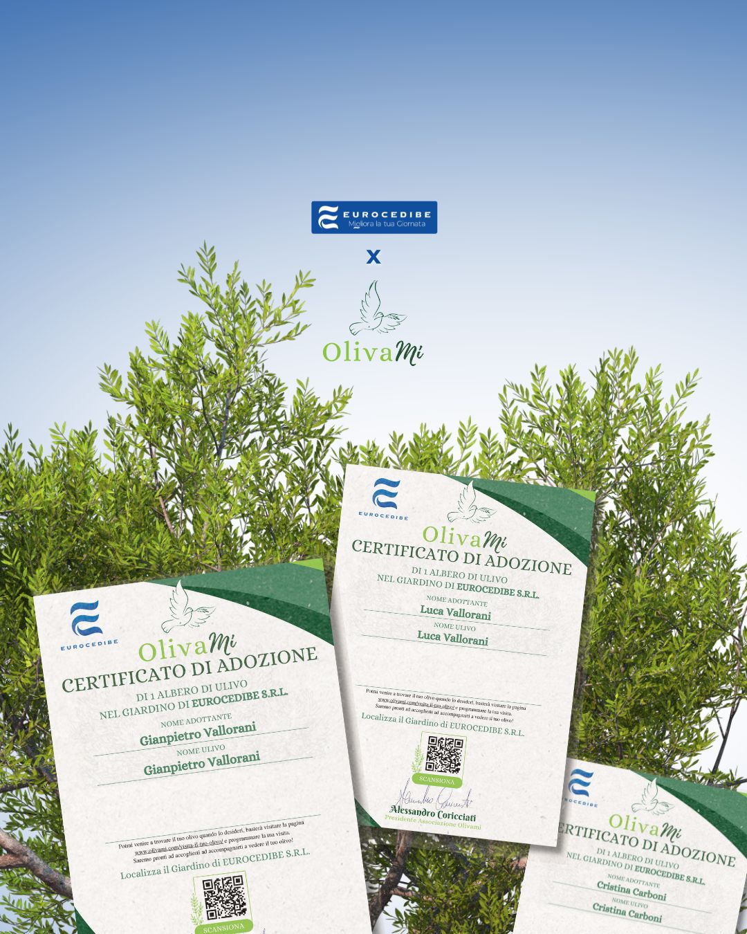 🌿 L’unione tra Eurocedibe e @olivami_official è un impegno che continua a crescere.
✅ Da sempre crediamo che sostenibilità e responsabilità ambientale debbano essere parte integrante del modo di fare impresa.
Un valore che condividiamo ogni giorno con le aziende che ci scelgono.
🫒 🌳 Per questo sosteniamo con convinzione il progetto Olivami, contribuendo alla riforestazione del Salento con l’adozione di ulivi in aree colpite dalla Xylella.
📜 I certificati che ci vengono rilasciati sono la testimonianza concreta del nostro impegno verso l’ambiente e le comunità locali.
🤝 In Eurocedibe continuiamo a coltivare un’idea di impresa attenta al territorio e alle generazioni future.
💬 Vuoi aiutarci a proteggere il pianeta?
Bastano scelte giuste, una pausa sostenibile… e contattarci:
🌎 https://www.eurocedibe.it/miglioralatuagiornata
📞 800.943.011
📧 info@eurocedibe.it
----
sostenibilità
azioni sostenibili
aziende per la sostenibilità
pausa caffè
venditori di distributori automatici
azienda di distributori automatici e di caffè
#Eurocedibe #DistributoriAutomatici #DistributoriCaffè