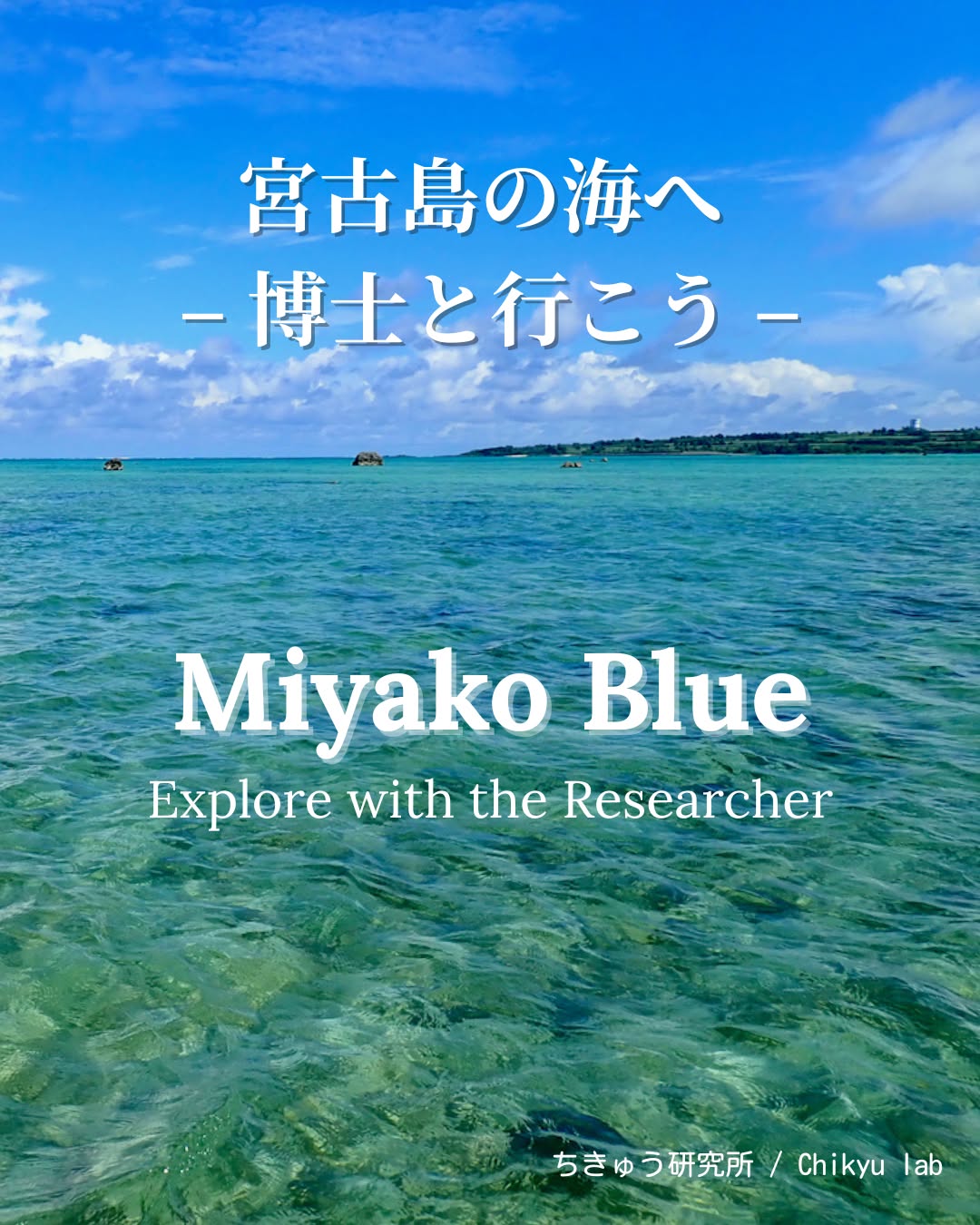 宮古島の海へ - 生きものたちの暮らす場所 -
美しい宮古島の海。
ここには、たくさんの生きものたちが暮らしています。
サンゴの森をすみかにする魚たち、海草を食べるウミガメ、そして、今では希少になりつつある海草の森も広がっています。
この海は、ただ青く美しいだけではなく、たくさんの命が寄り添い合いながら生きている、生きものたちの暮らす場所です。
ジュゴンもその仲間のひとり。
海草を食べ、海底をやさしく耕し、ほかの生きものたちが生きやすい環境をつくっています。
ジュゴンが暮らせる海は、私たちや多くの生きものにとっても豊かな海なのです。
博士と一緒に海を観察すると、一見静かな海の中に、たくさんの命のつながりが見えてきます。
宮古島の海は、いのちが息づく“暮らしの海”。
その豊かさを知ることから、海を守る一歩が始まります。
⭐︎
⭐︎
<Miyako Island — Where Life Lives Beneath the Blue>
The ocean of Miyako Island is home to countless forms of life.
Fish shelter in coral reefs, sea turtles graze on seagrass, and rare seagrass meadows spread quietly beneath the waves.
This sea is more than beautiful —
it’s a place where every creature supports another.
Among them lives the dugong, a gentle grazer that keeps the seagrass healthy and helps sustain many other marine species.
An ocean where dugongs can live is an ocean rich enough for all life.
Join our researcher-led eco tours to see this living sea and discover the hidden connections that make it thrive.
Understanding the ocean’s richness is the first step toward protecting it.
#ecotourism #ecotour #エコツアー #宮古島 #ジュゴン #dugong #Biodiversity #OceanEducation