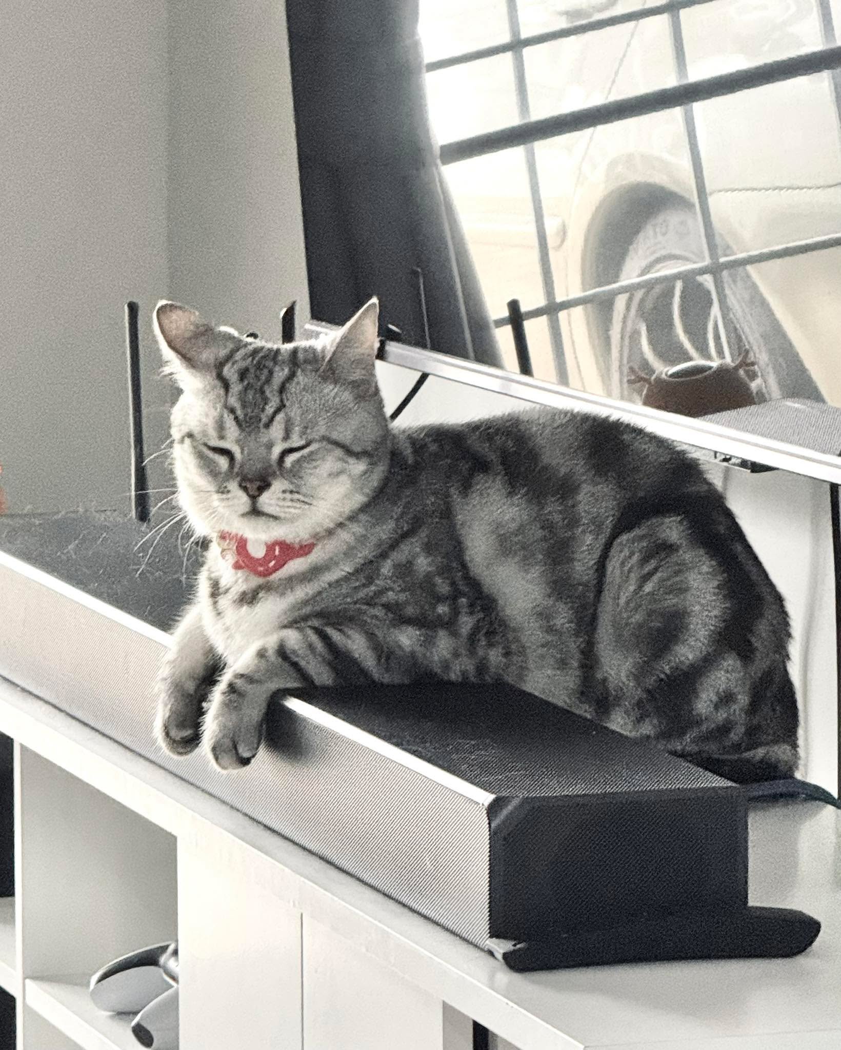 Dragging myself to the finish line of the day . . .